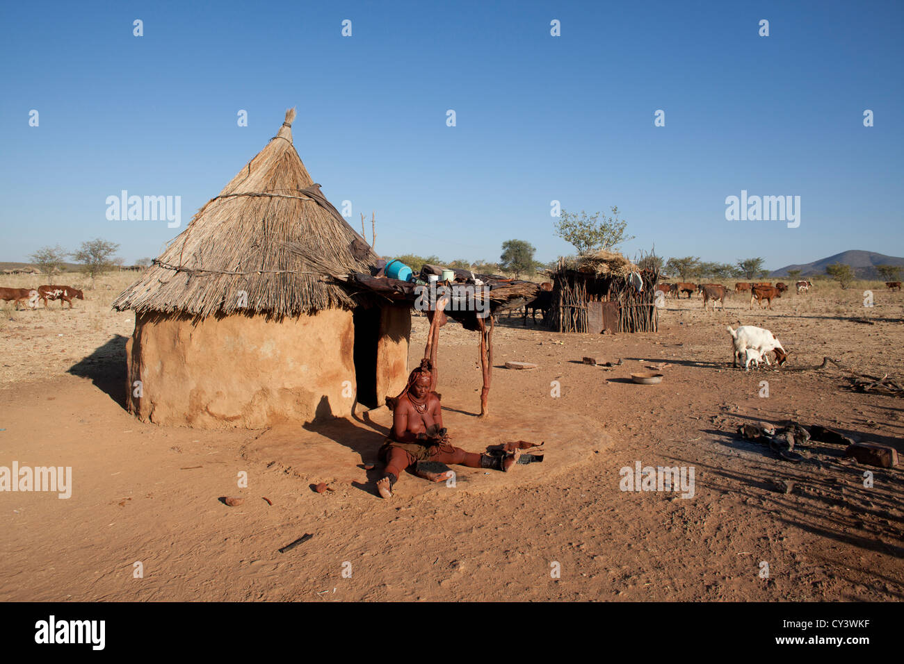 Tribù Himba della Namibia. Foto Stock