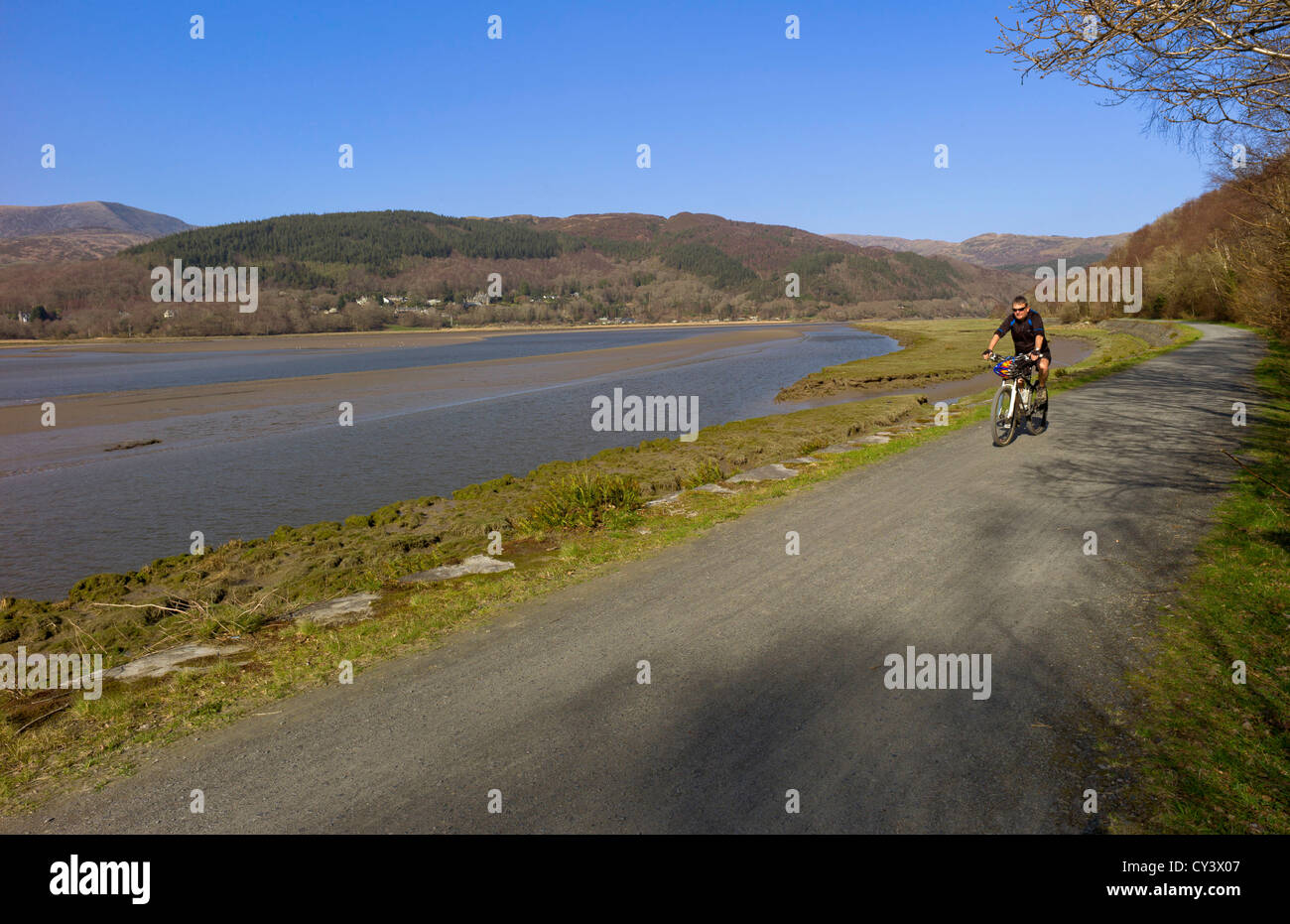 Un maschio adulto cicli verso la fotocamera utilizzando il sentiero mawddach verso Barmouth lungo il fiume con un background di montagna Foto Stock