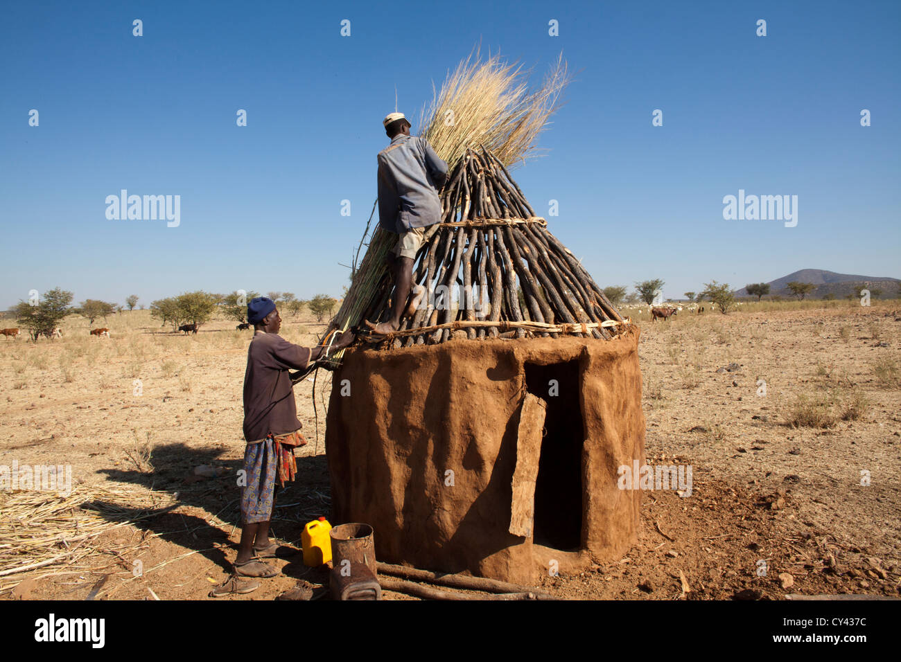 Tribù Himba della Namibia. Foto Stock