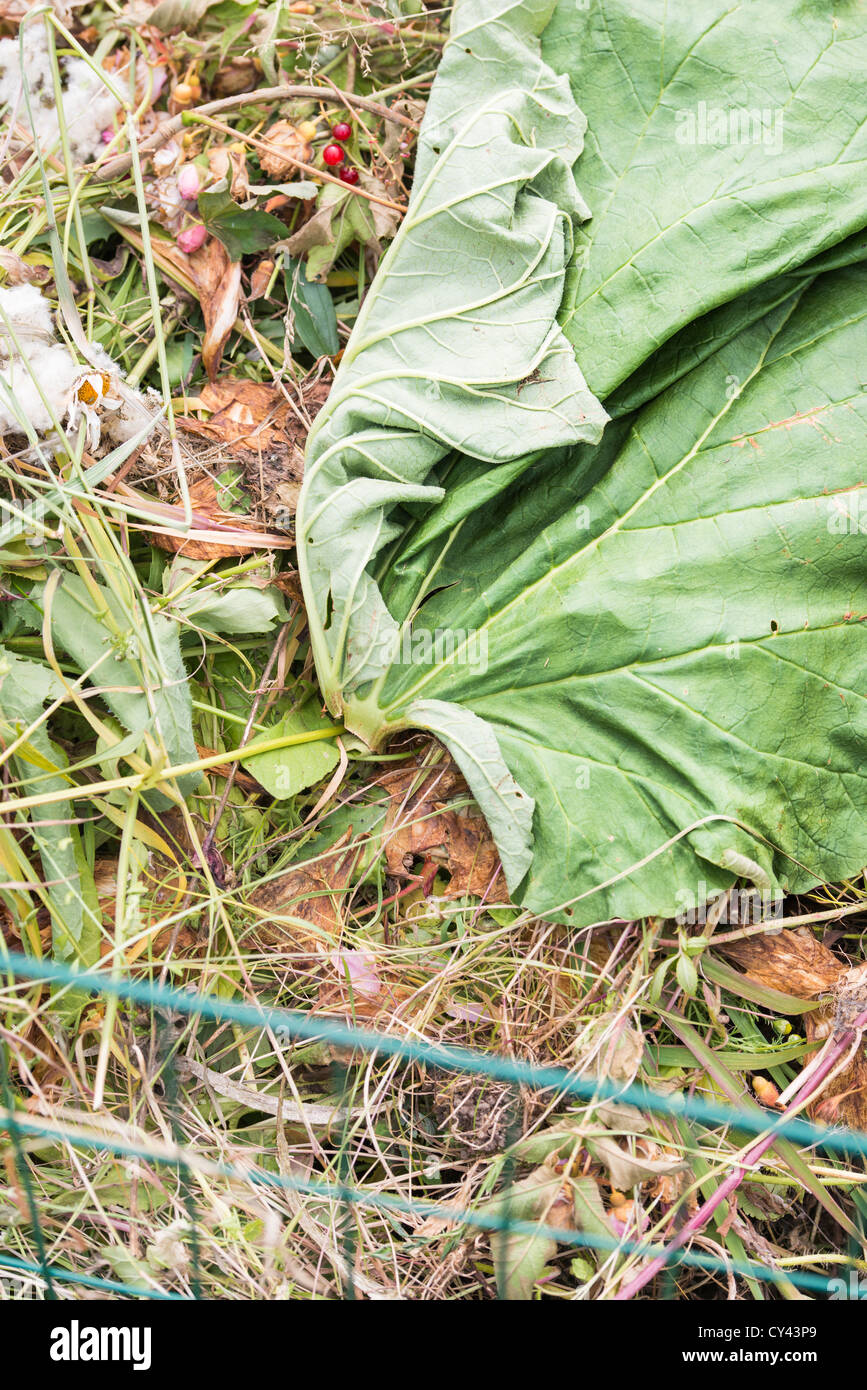 Giardino con il compostaggio dei rifiuti raccolti da giardinaggio Foto Stock