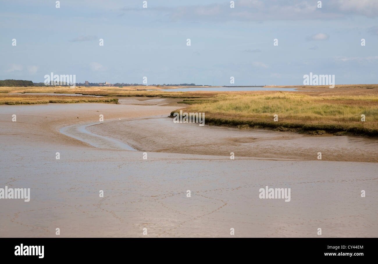 Sale Saltings ambiente palustre fiume minerale, Hollesley, Suffolk, Inghilterra Foto Stock