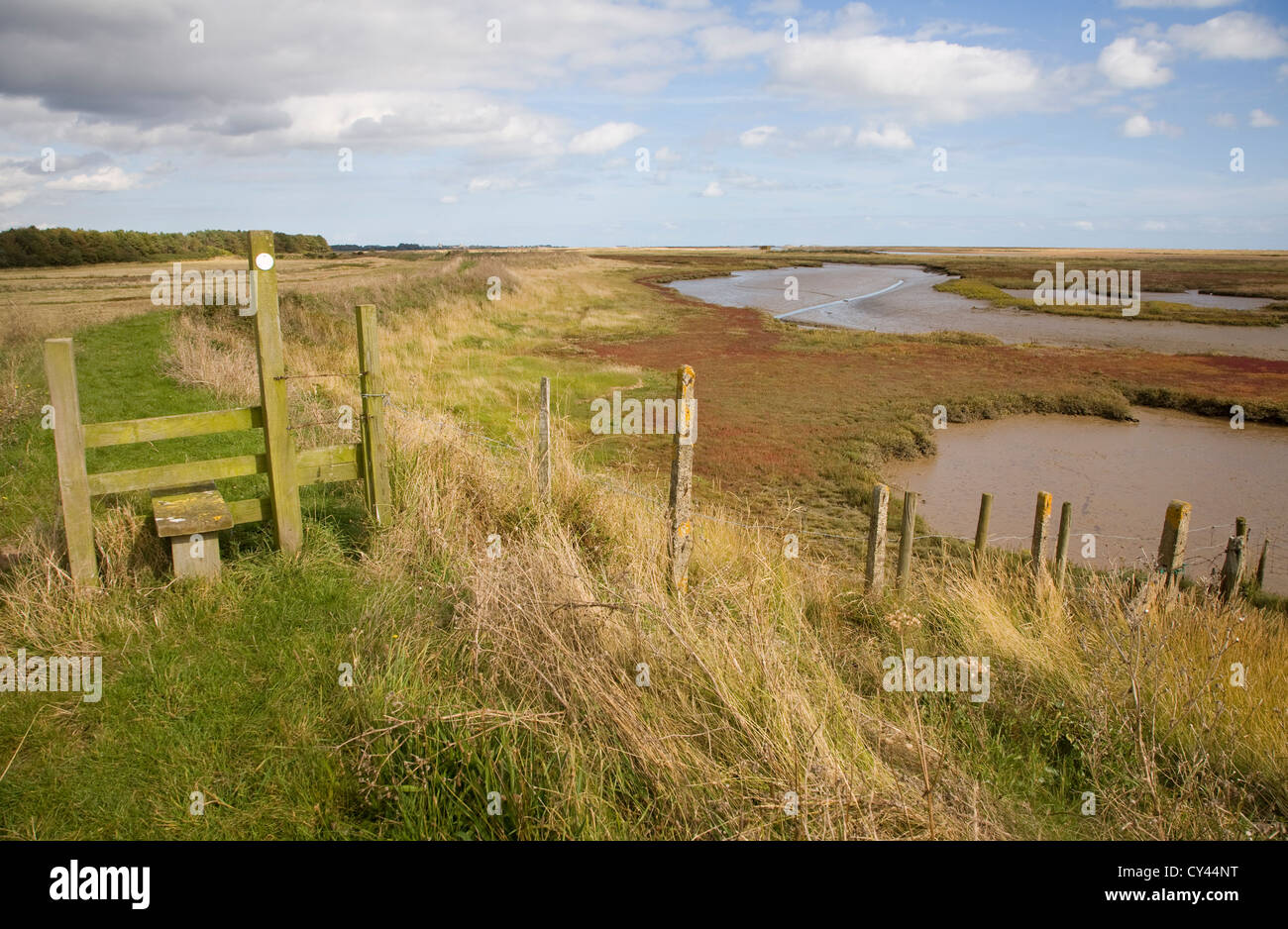 Sale Saltings ambiente palustre fiume minerale, Hollesley, Suffolk, Inghilterra Foto Stock