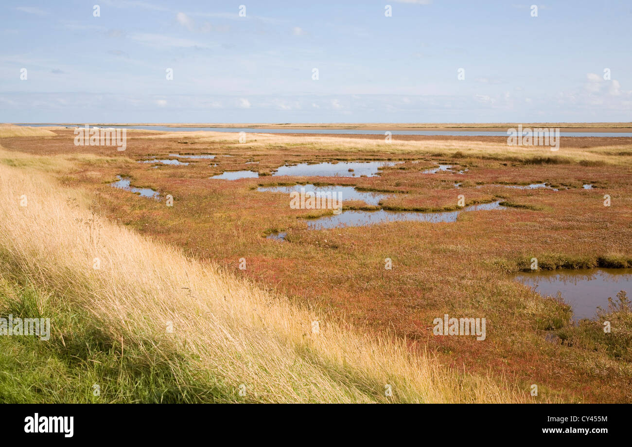 Sale Saltings ambiente palustre fiume minerale, Hollesley, Suffolk, Inghilterra Foto Stock