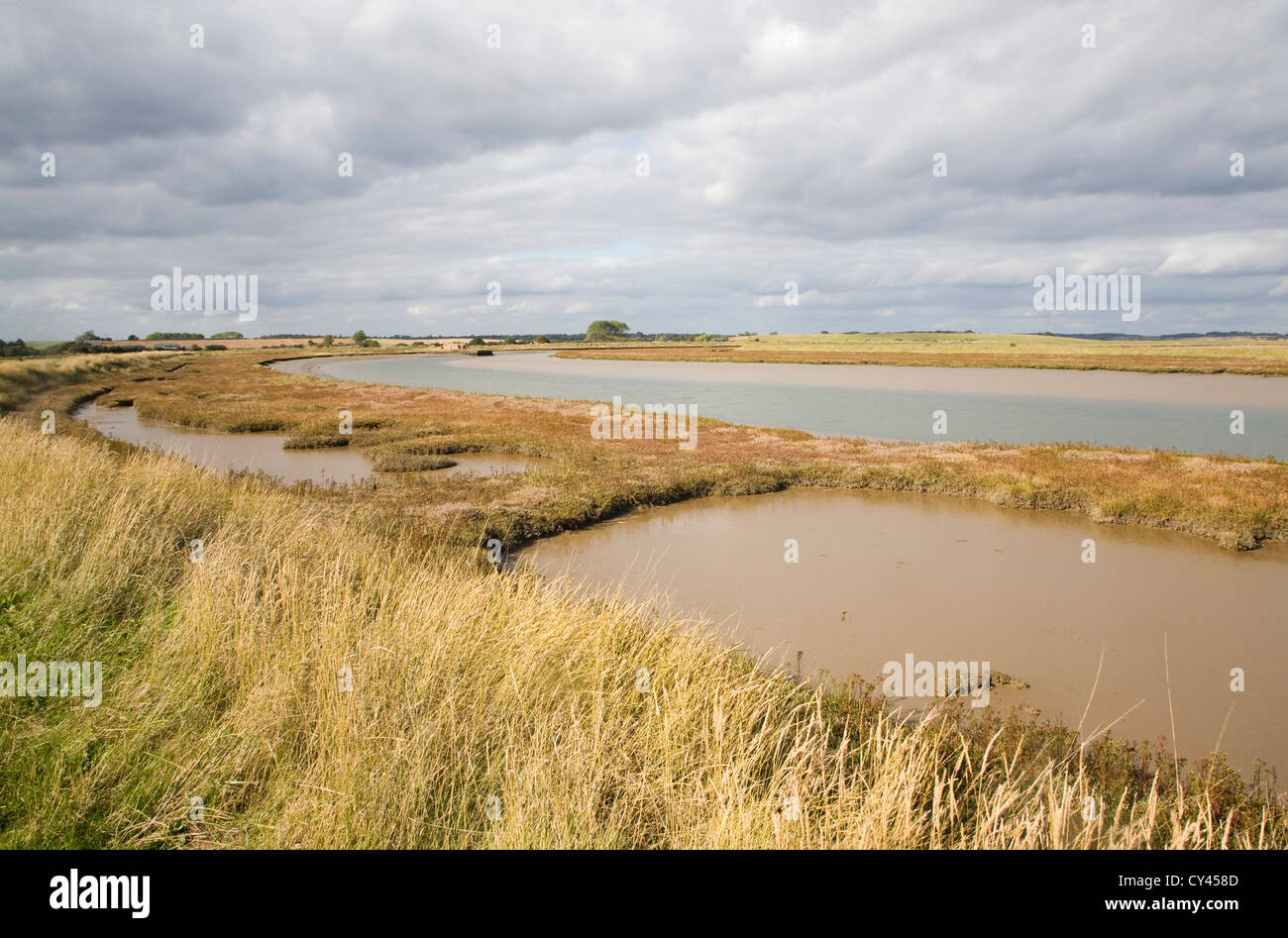 Sale Saltings ambiente palustre Butley Creek river, Boyton, Suffolk, Inghilterra Foto Stock