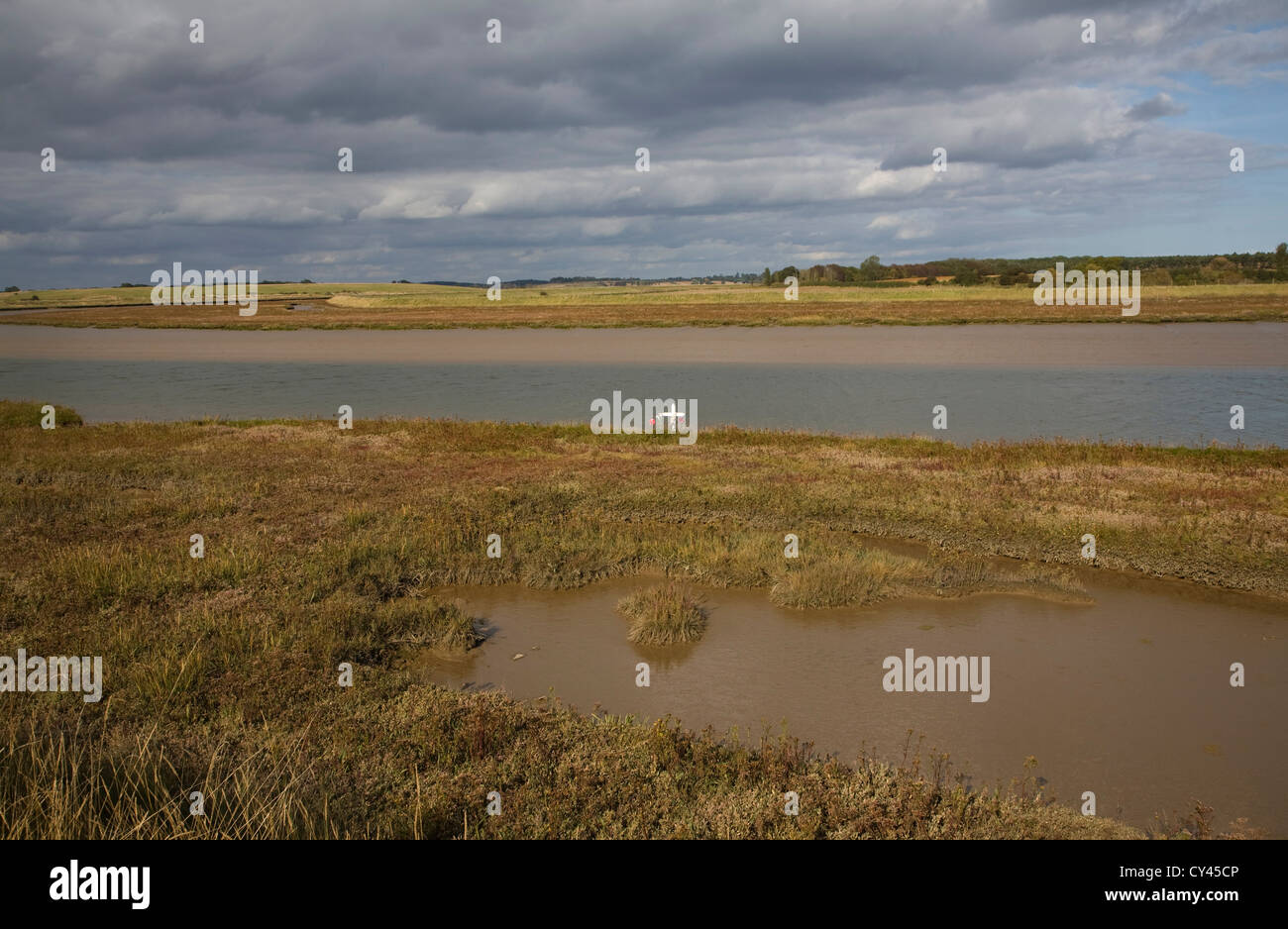 Croce isolati morte di marcatura in mare sale Saltings ambiente palustre Butley fiume creek, Suffolk, Inghilterra Foto Stock