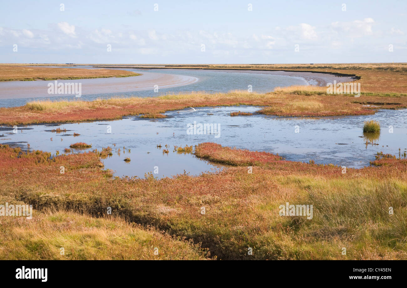 Sale Saltings ambiente palustre Butley Creek river, Boyton, Suffolk, Inghilterra Foto Stock