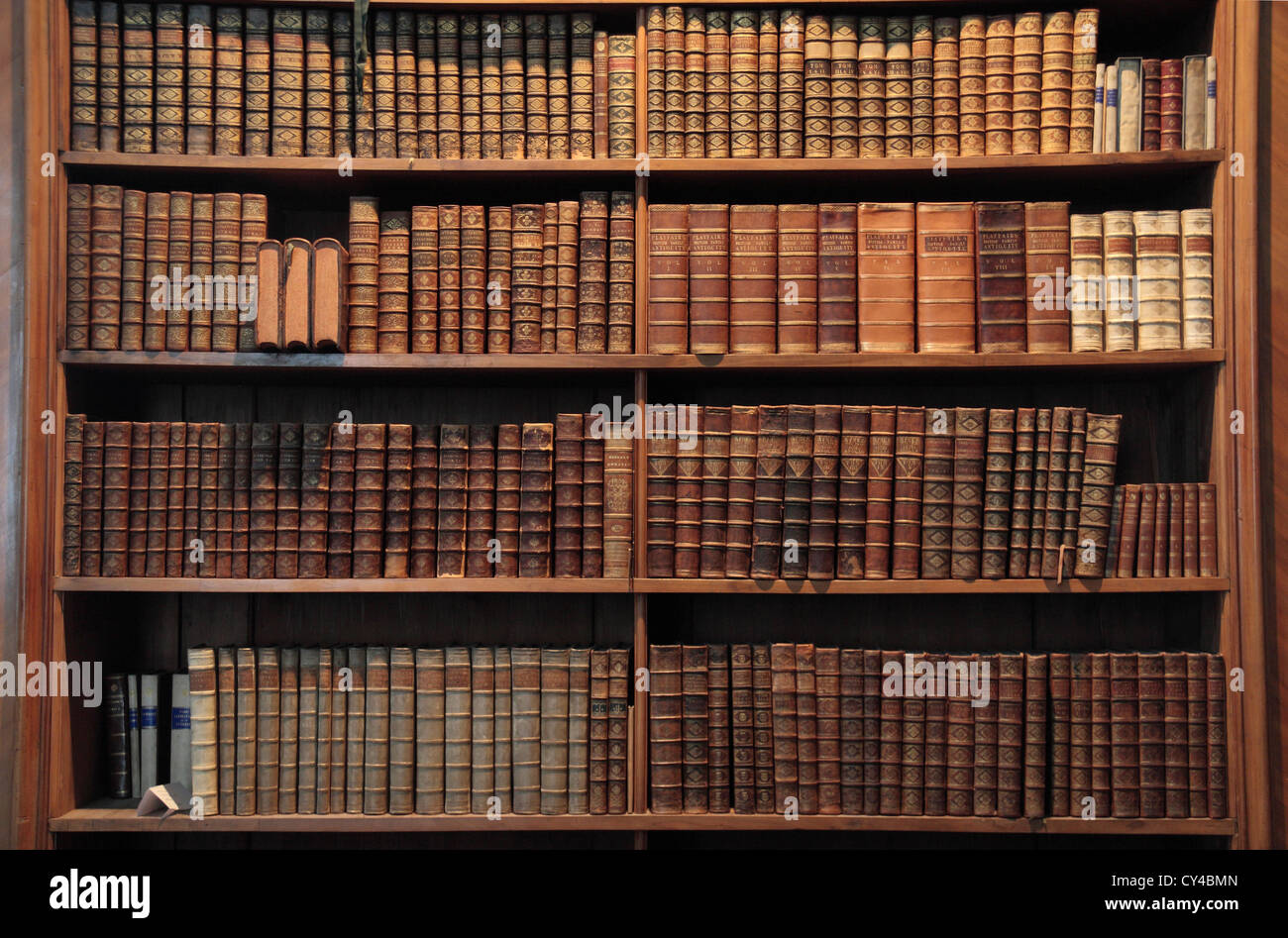 Prenota caso in Prunksaal Nationalbibliothek (Biblioteca Nazionale Austriaca), il Palazzo di Hofburg di Vienna, Austria. Foto Stock