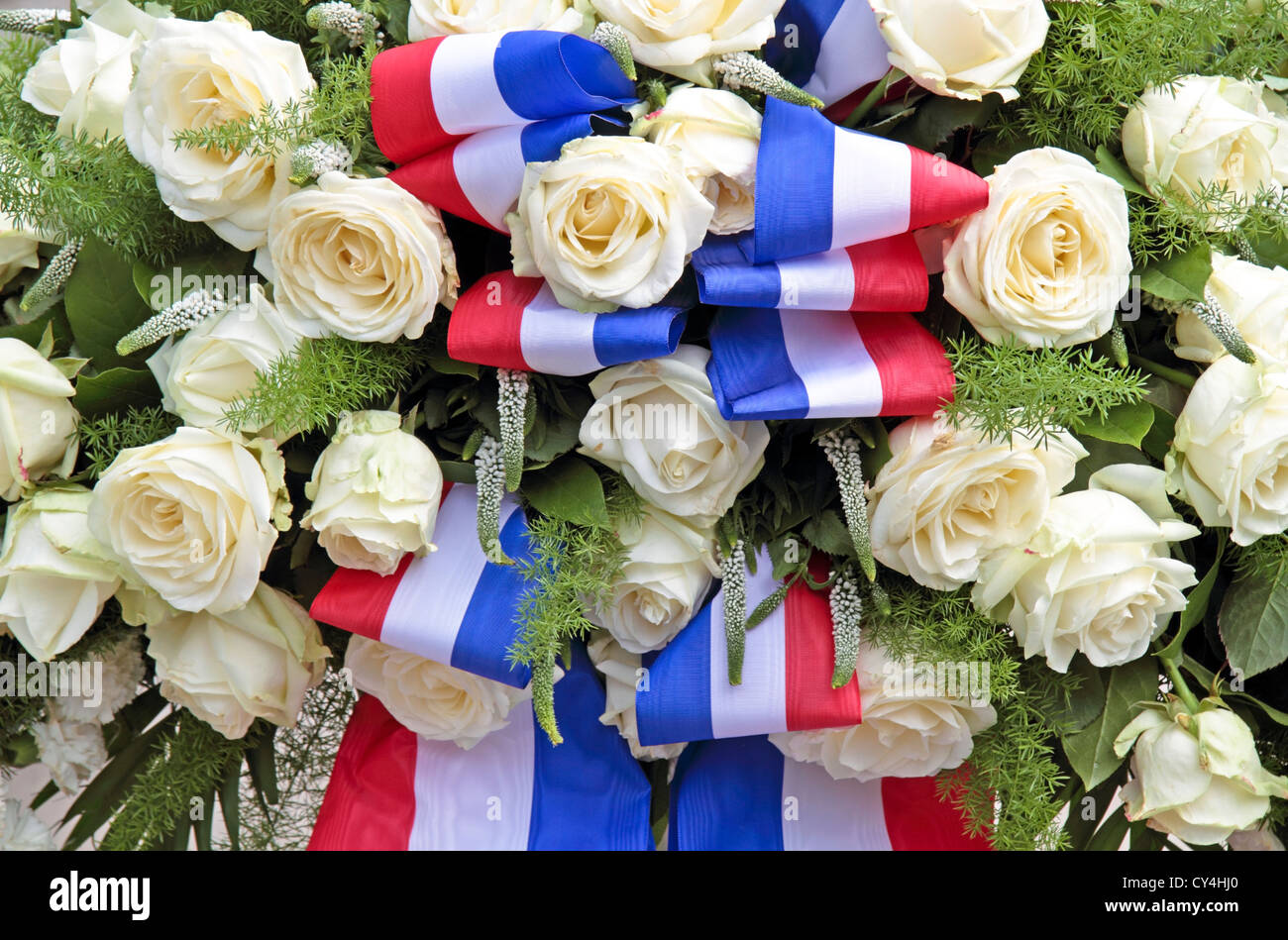 Rose bianche con l'olandese bandiera nazionale Foto Stock