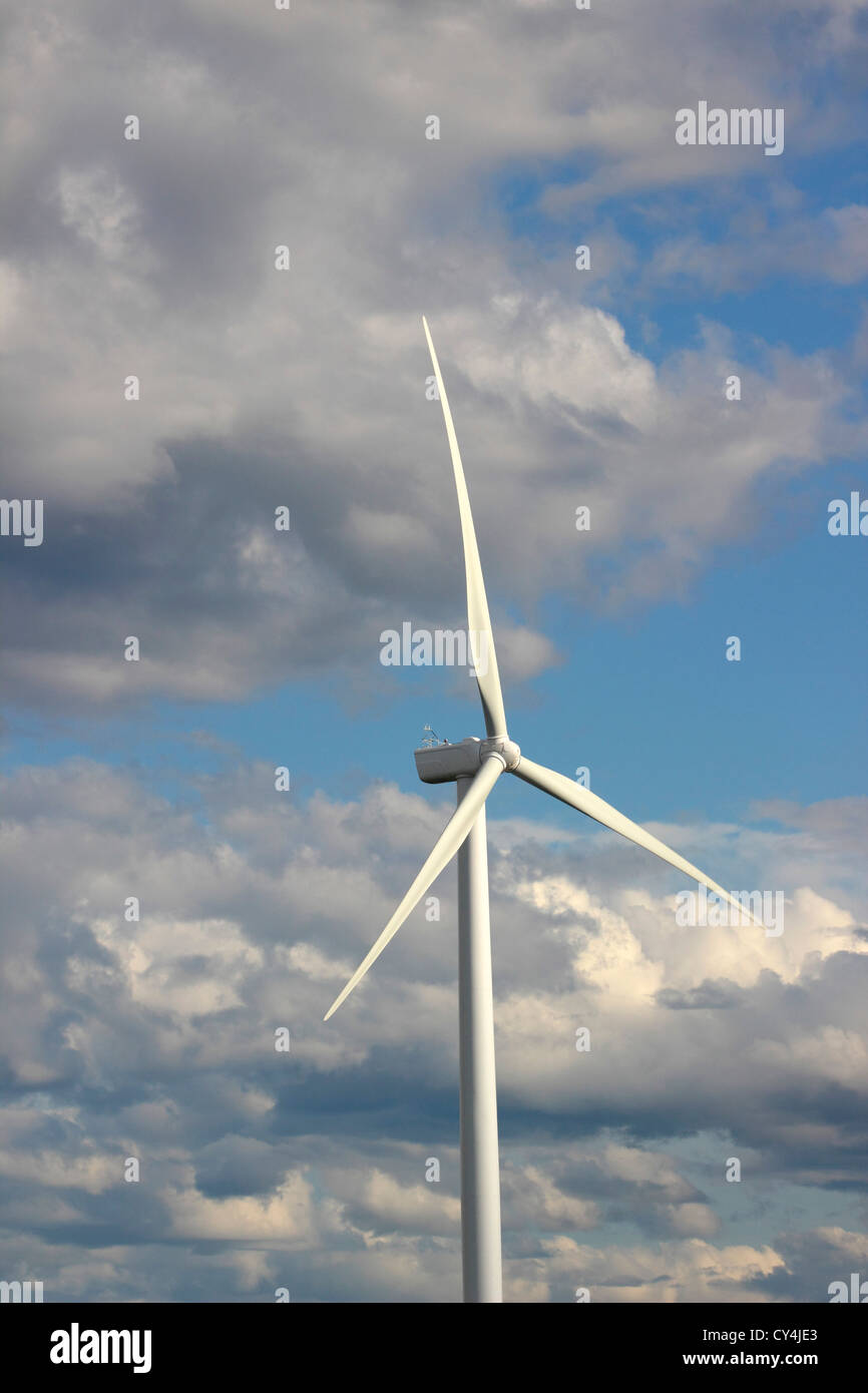 Wind Farm Nova Scotia Canada Amherst Canadian Maritimes turbina eolica energia verde energia elettrica mulini a vento pale generando Foto Stock