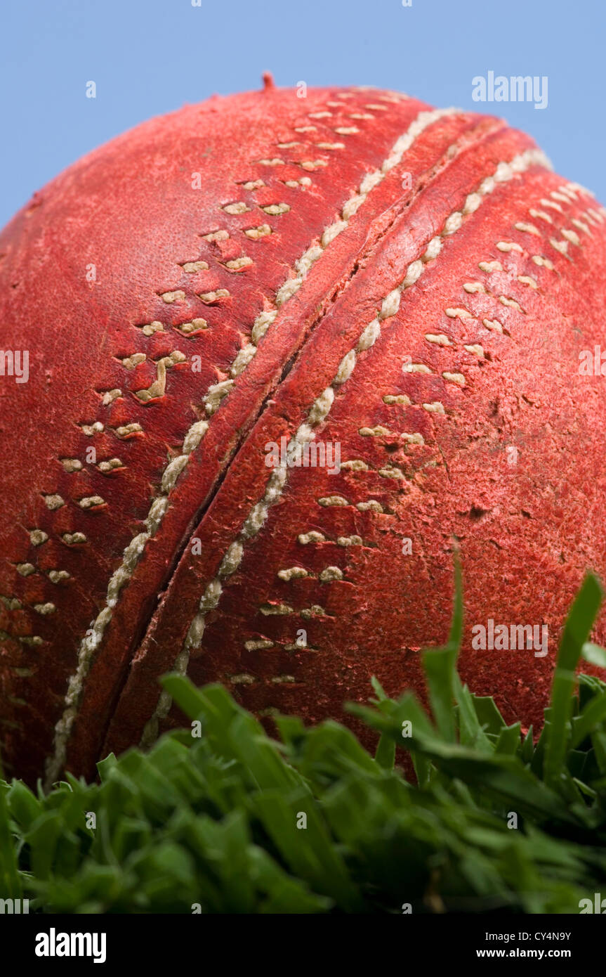 Sfera di cricket di erba ed un cielo blu Foto Stock