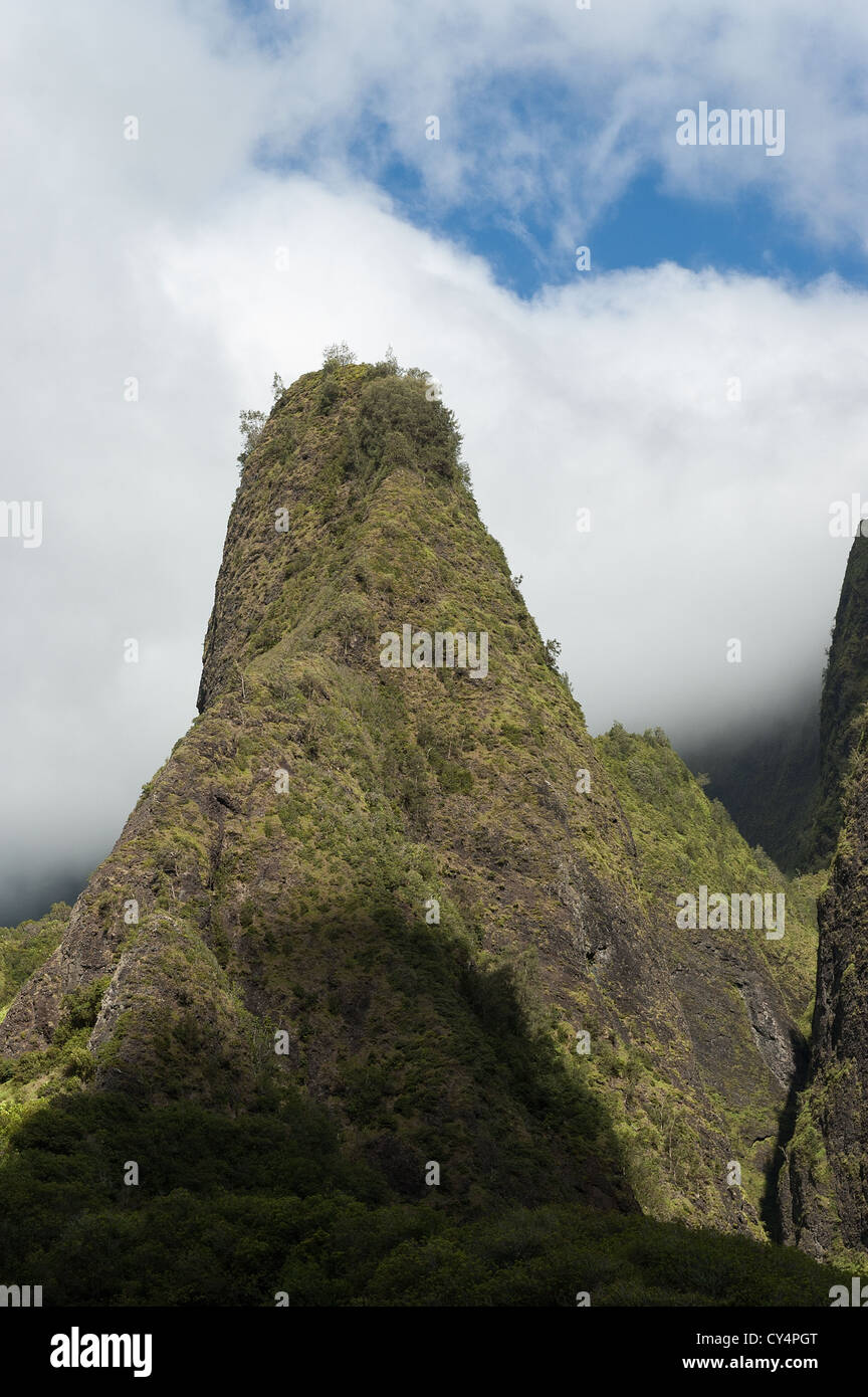 Elk284-4067v Hawaii Maui, Iao Valley State Park, Iao ago Foto Stock