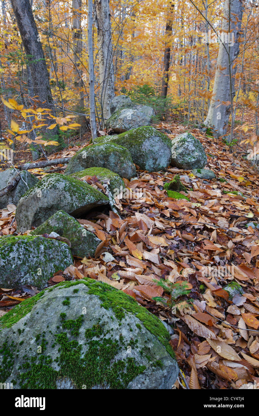 I resti di una vecchia segheria lungo Talford Brook in Thornton, New Hampshire USA. Foto Stock