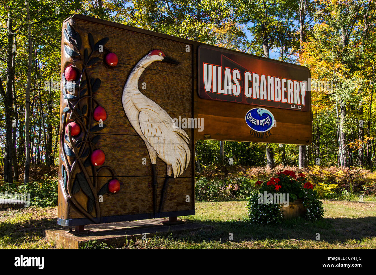 Segno per Vilas Coltivatori di mirtillo palustre nel Northwoods città di acque Manitowish, Wisconsin Foto Stock