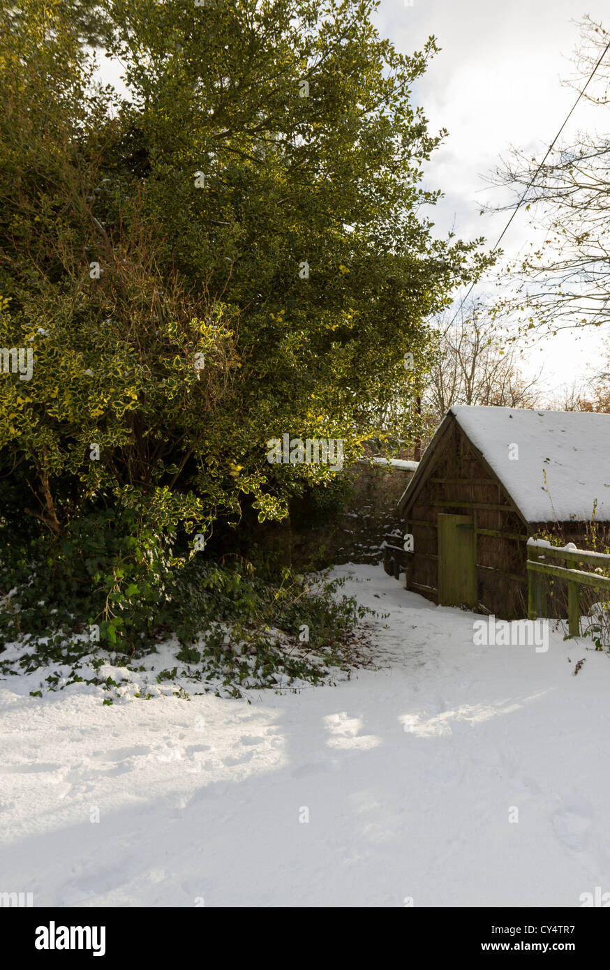 Se andate giù per i boschi di oggi. . . Foto Stock
