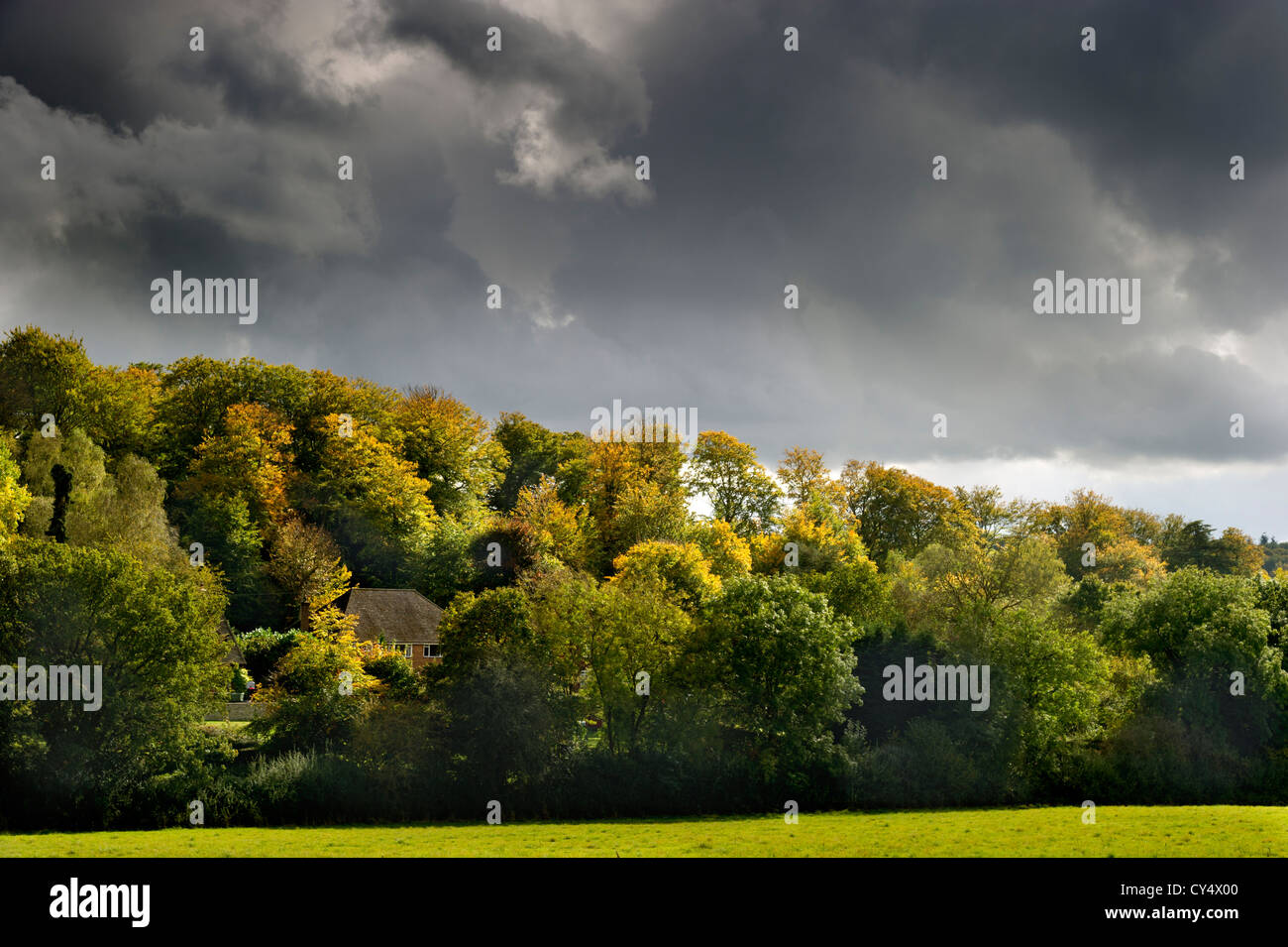 Nuvole scure su inizio autunno soleggiato alberi sul bordo del villaggio di Jordans Bucks REGNO UNITO Foto Stock