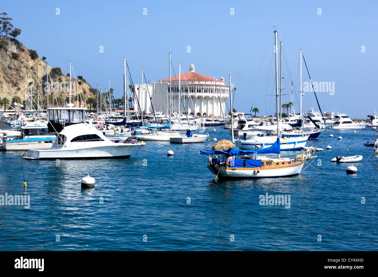 Yacht e Barche a vela ormeggiata al Porto di Avalon sull isola di Santa Catalina. Al largo della costa della California del Sud Foto Stock