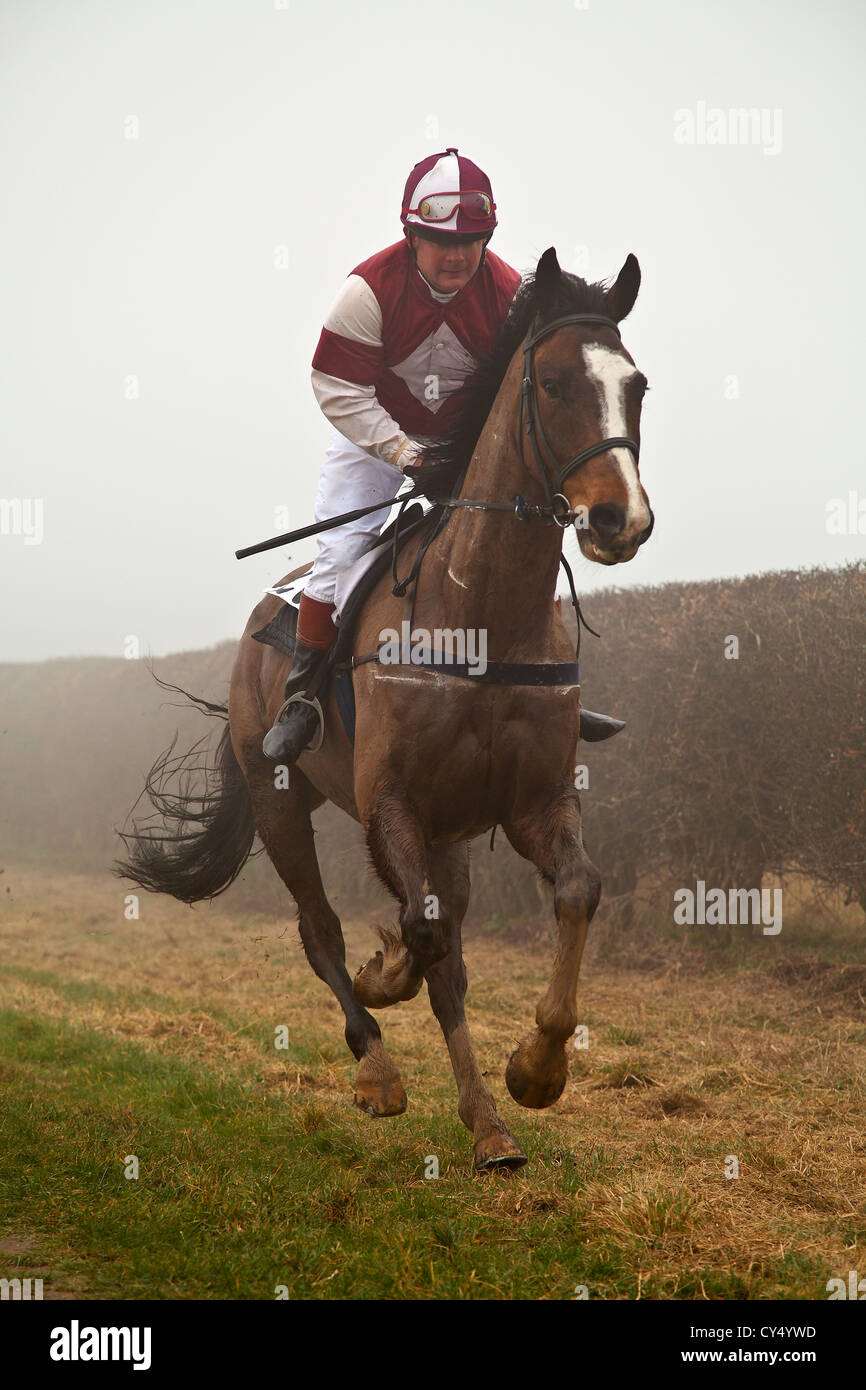 Derby Kiplingcotes cavallo di razza più antica gara piatta Kiplingcotes Foto Stock