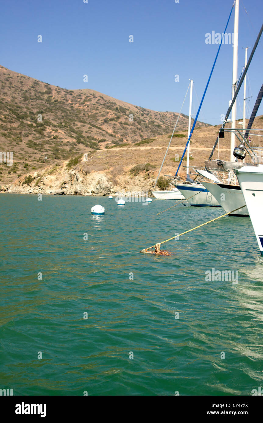 Yacht & barche attraccate al Porto di Catalina, situato sul lato posteriore della Santa Catalina Island all'Istmo Foto Stock