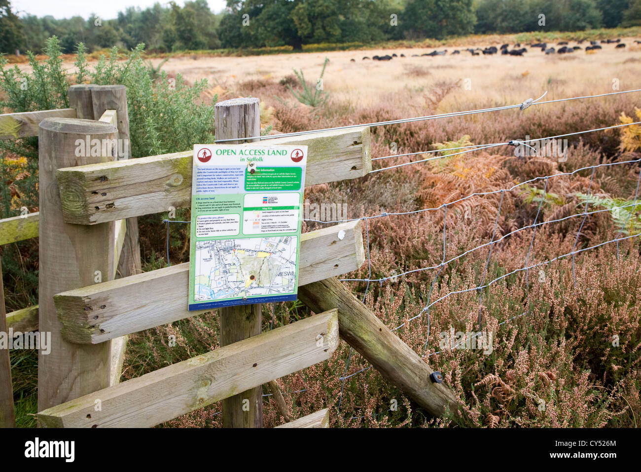 Mappa di segno di accesso aperto delle Ebridi terra pecore al pascolo di conservazione Sutton Heath, Suffolk, Inghilterra Foto Stock