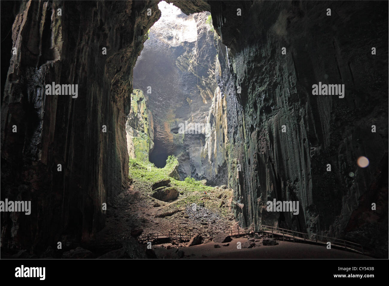 Grotta Nera, grotte di Gomantong, inferiore area Kinabatangan, Sandakan district, Sabah Borneo, Malaysia, sud-est asiatico Foto Stock