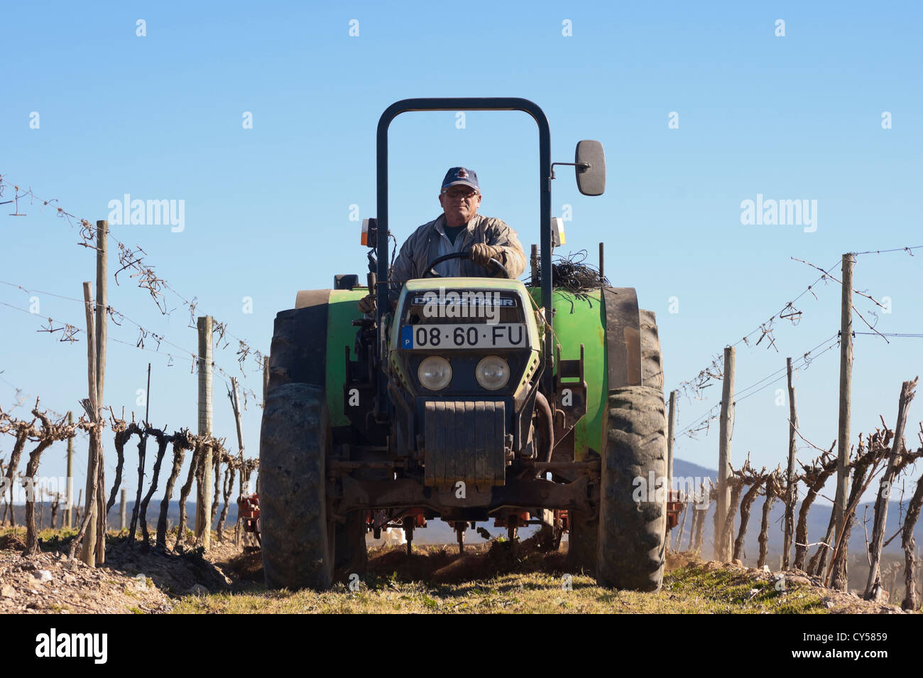 Il trattore arare un vigneto nella stagione dormiente, Borba, Alentejo, Portogallo Foto Stock