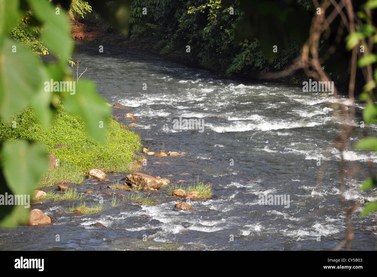 Un nuovo flusso di acqua che scorre verso il basso dalla colline Ponmudi Foto Stock