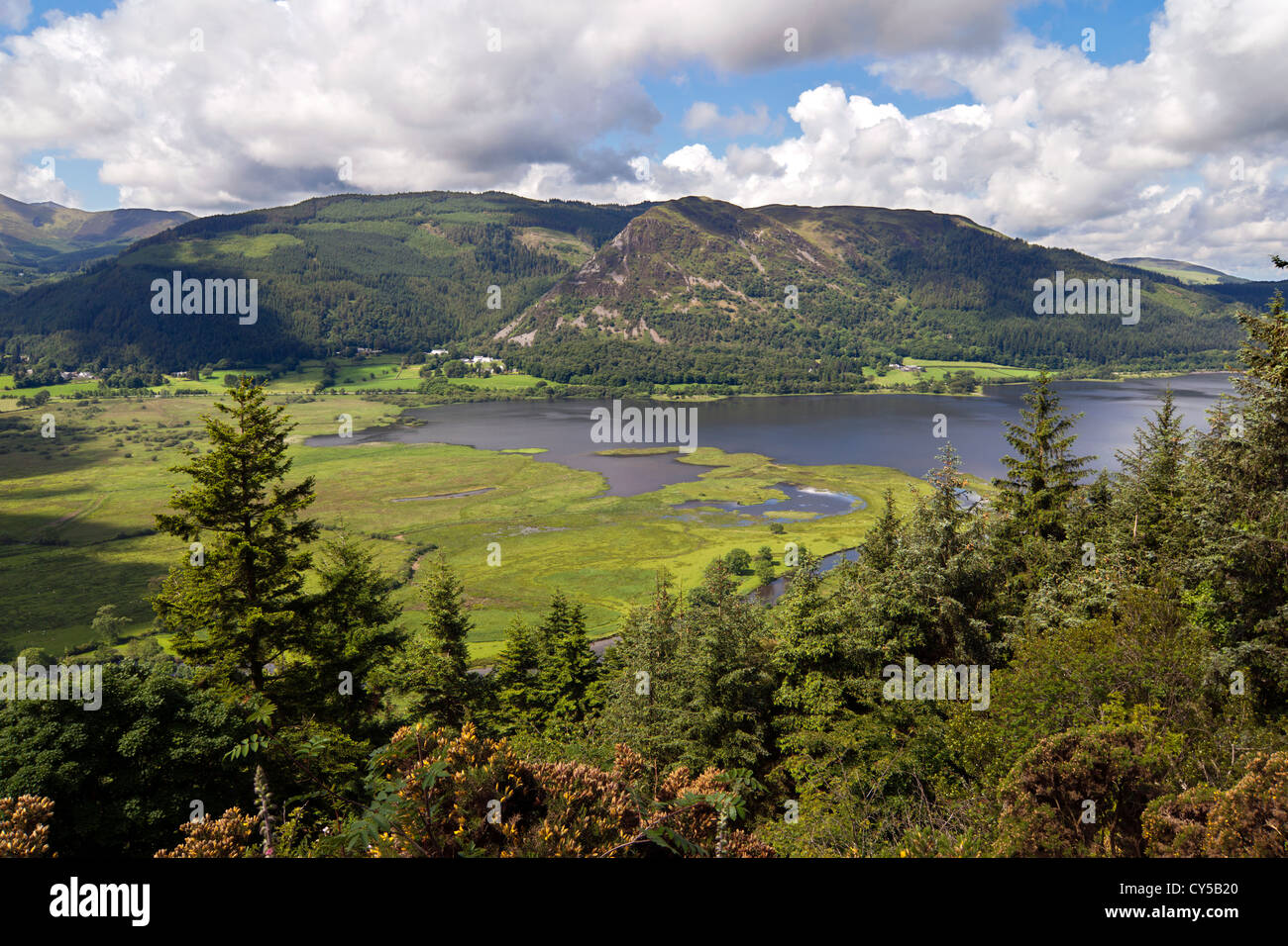 Bassenthwaite Lake presi da Dodd legno nel distretto del Lago Cumbria Foto Stock