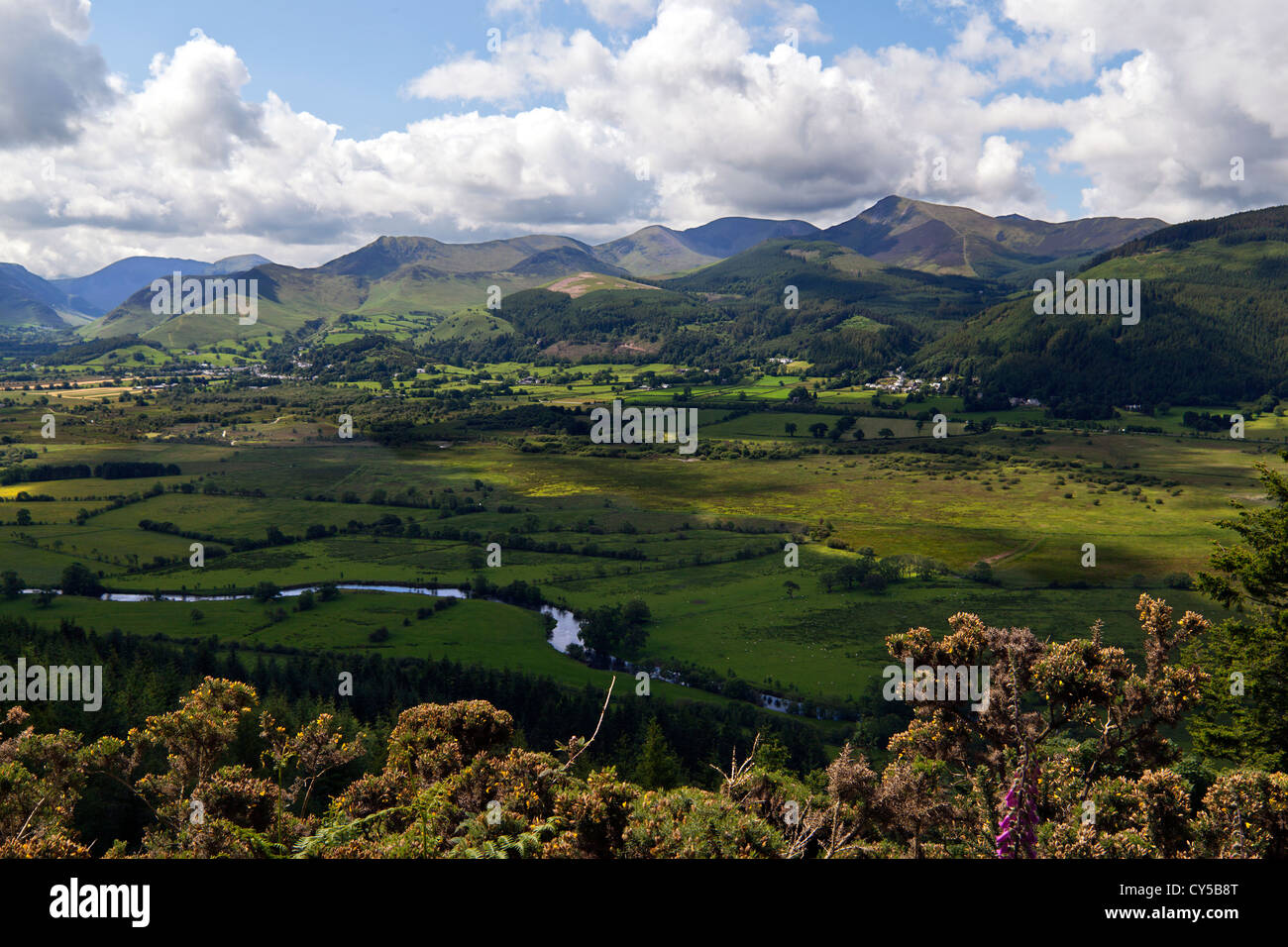 Fiume Derwent Valley presi da Dodd legno nel distretto del Lago Cumbria Foto Stock