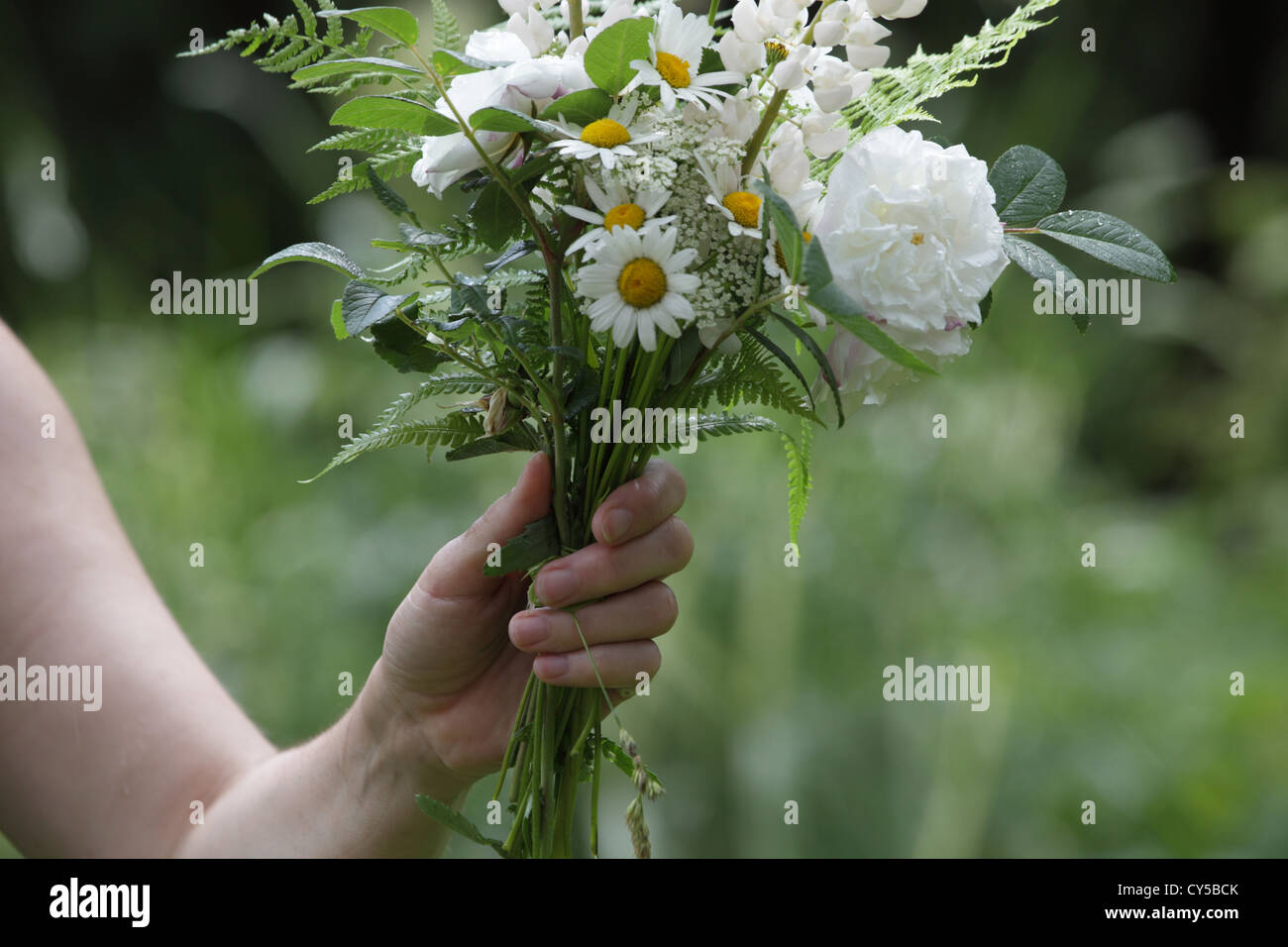 Una donna di mano è in possesso di un bianco bouquet di fiori appena  raccolti da giardino durante una pioggia di estate Foto stock - Alamy