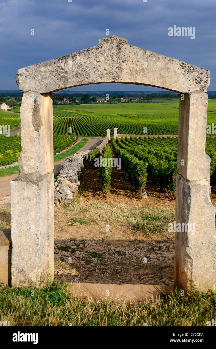 Portale della vigna. Cote d'Or, Borgogna, in Francia, in Europa Foto Stock