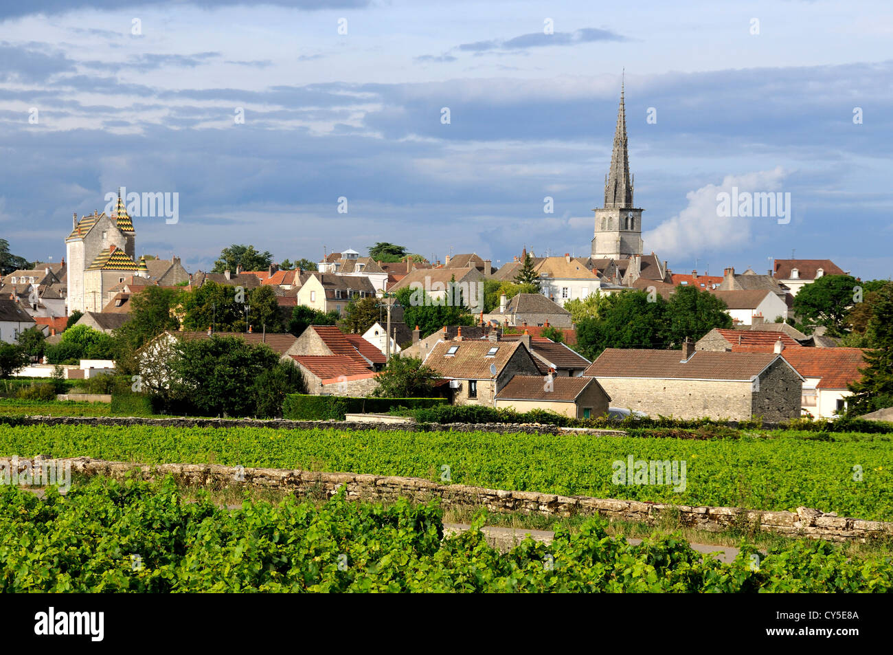 Vigna al villaggio di Meursault, vino di Borgogna Road, Cote d'Or, Borgogna, in Francia, in Europa Foto Stock