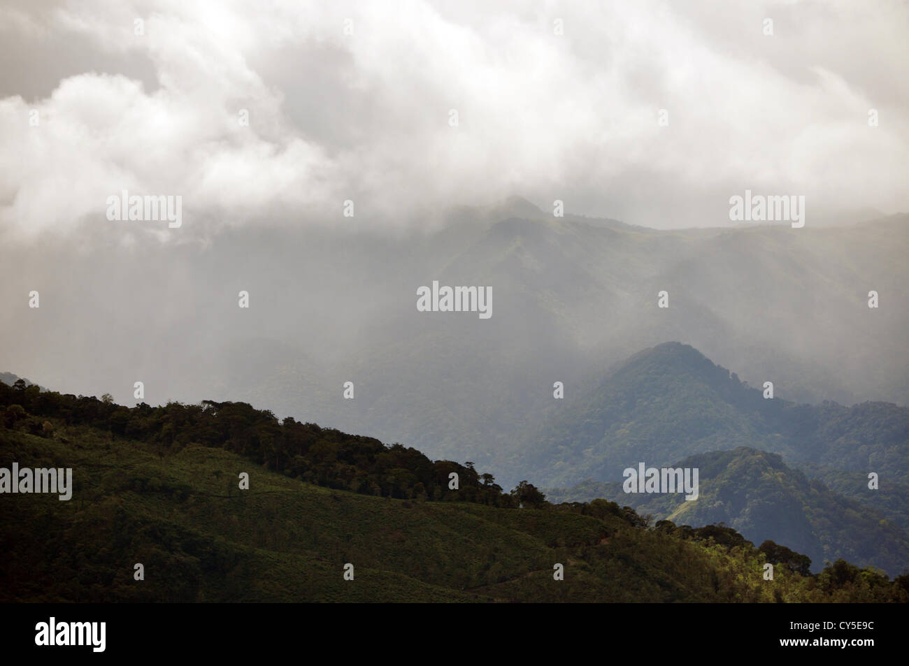 Lo skyline di Ponmudi colline, Kerala, India Foto Stock