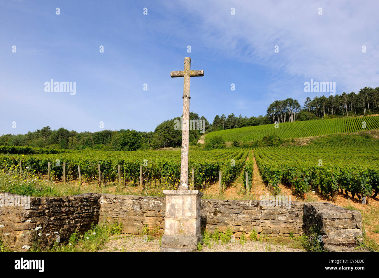 Croce di vigneto in Borgogna. Cote d'Or. Bourgogne, Franche Comte. Francia. Foto Stock