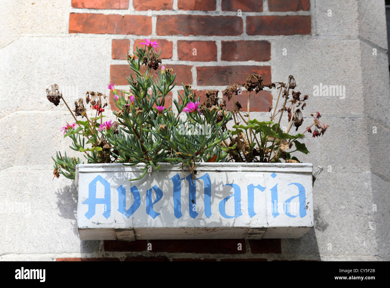 Fioriera con "Ave Maria" , Bruges, Belgio Foto Stock