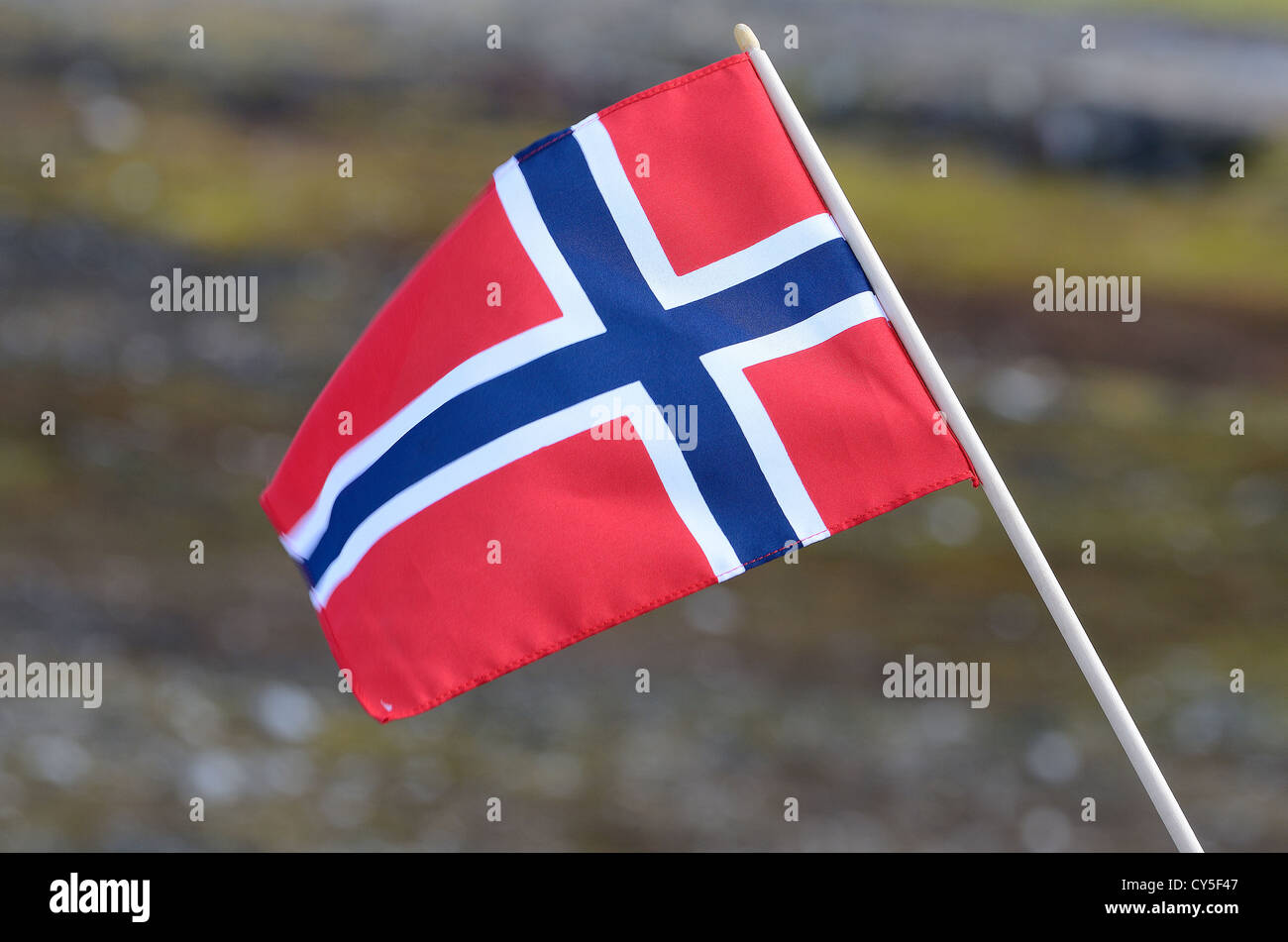 Piccola BANDIERA NORVEGESE Foto Stock