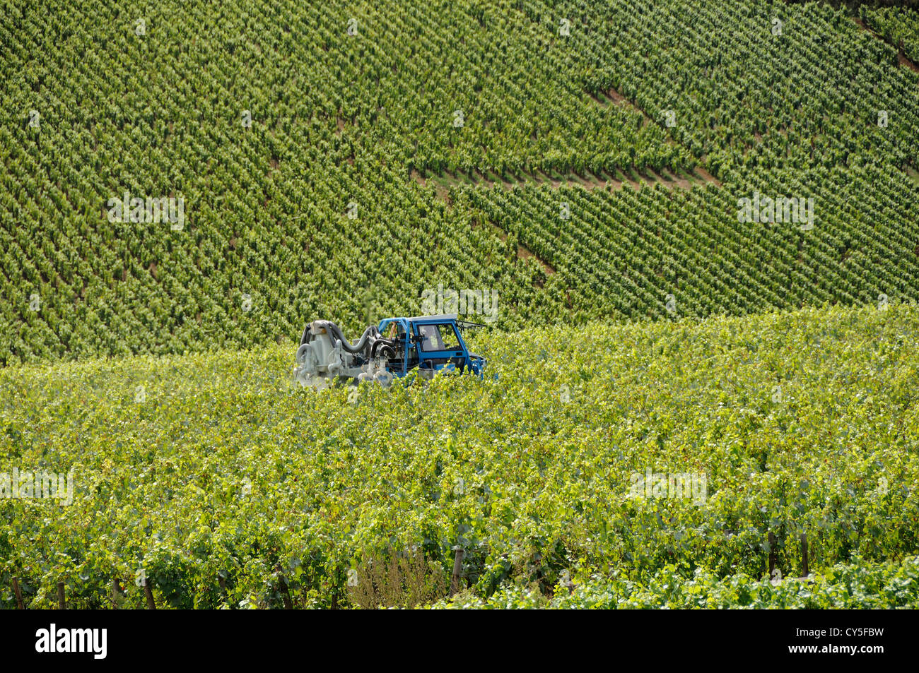 Trattore in vigneto, Cote d'Or, Bourgogne Franca Comte, Francia, Europa Foto Stock