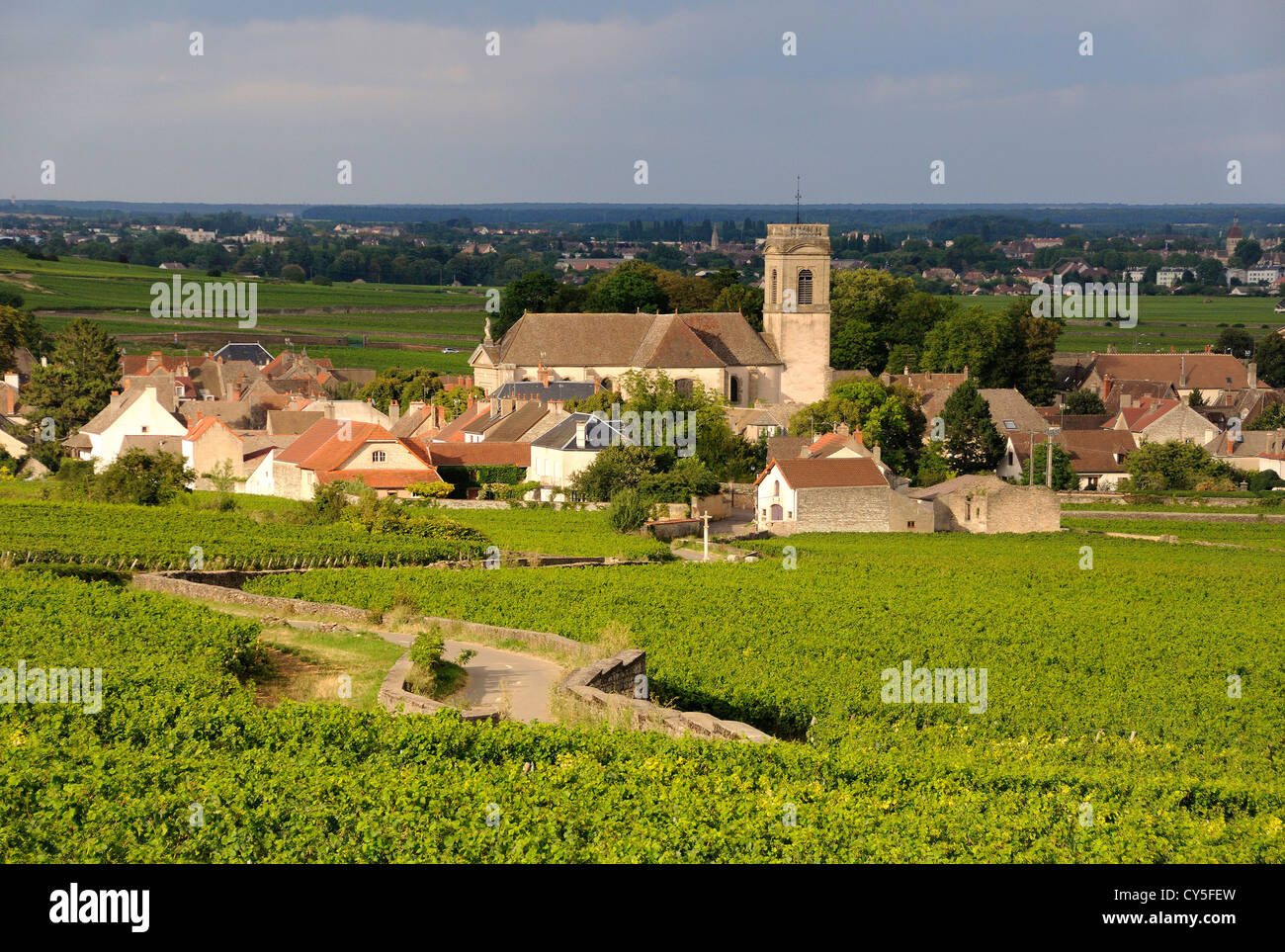 Vigneto e villaggio di Pommard, Cote d'Or, Route des grands crus, Bourgogne Franca Comte, Francia Foto Stock