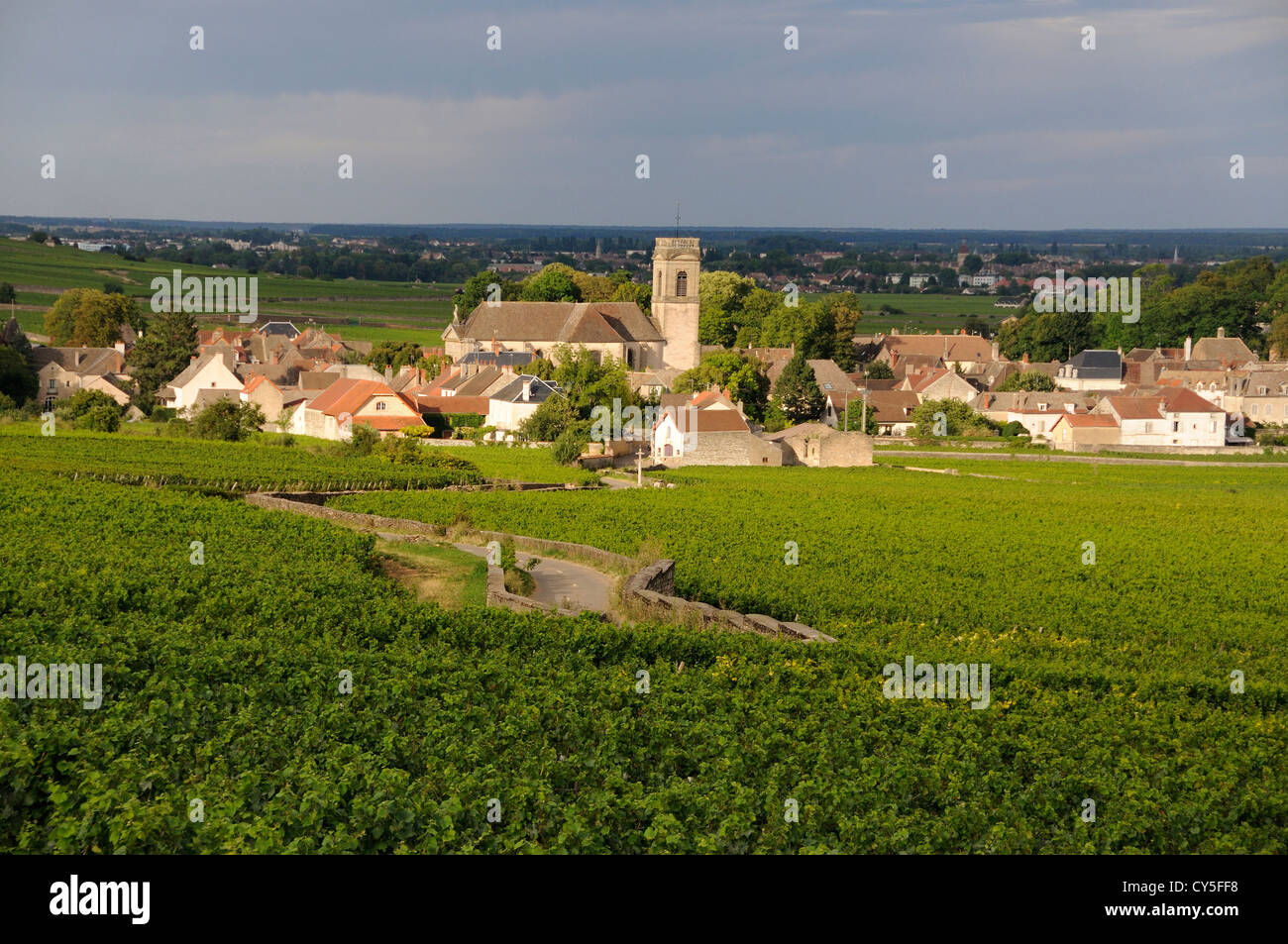 Vigneto e villaggio di Pommard, Cote d'Or, Route des grands crus, Bourgogne Franca Comte, Francia Foto Stock