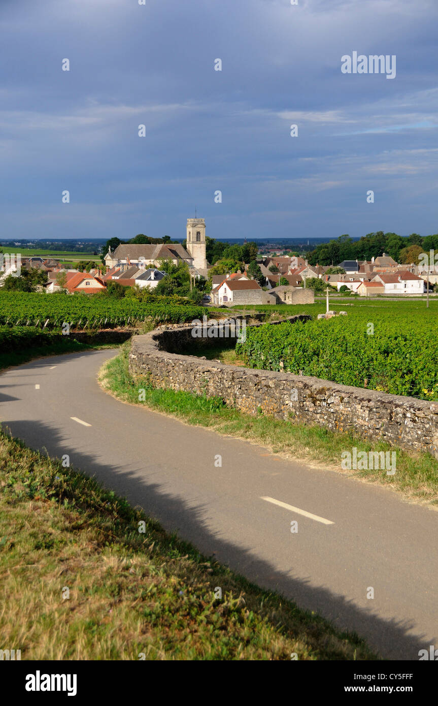 Vigneto e villaggio di Pommard, Cote d'Or, Route des grands crus, Bourgogne Franca Comte, Francia Foto Stock