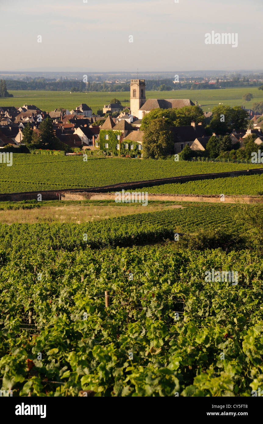 Vigneto e villaggio di Pommard (Route des grands crus), Cote d'Or, Bourgogne Franca Comte, Francia Foto Stock