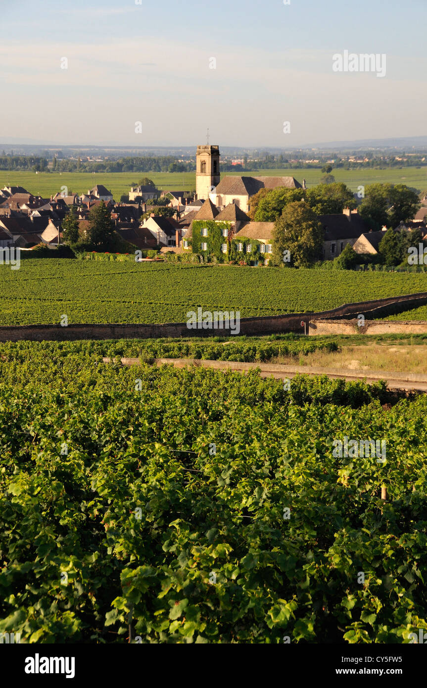 Vigneto e villaggio di Pommard (Route des grands crus), Cote d'Or, Bourgogne Franca Comte, Francia Foto Stock