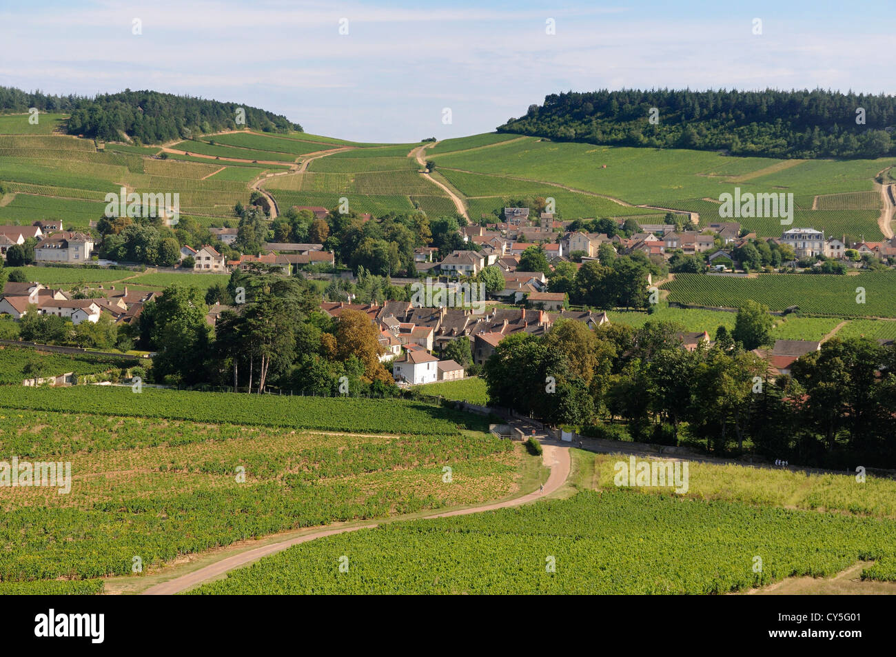 Villaggio di Mercurey circondato da vigneti, Saône et Loire, Côte Chalonnaise, Bourgogne Franca Comte, Francia, Europa Foto Stock
