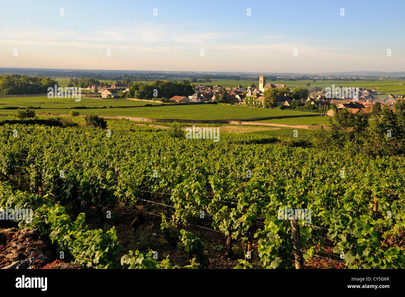 Vigneto e villaggio di Pommard (Route des grands crus), Cote d'Or, Bourgogne Franca Comte, Francia Foto Stock