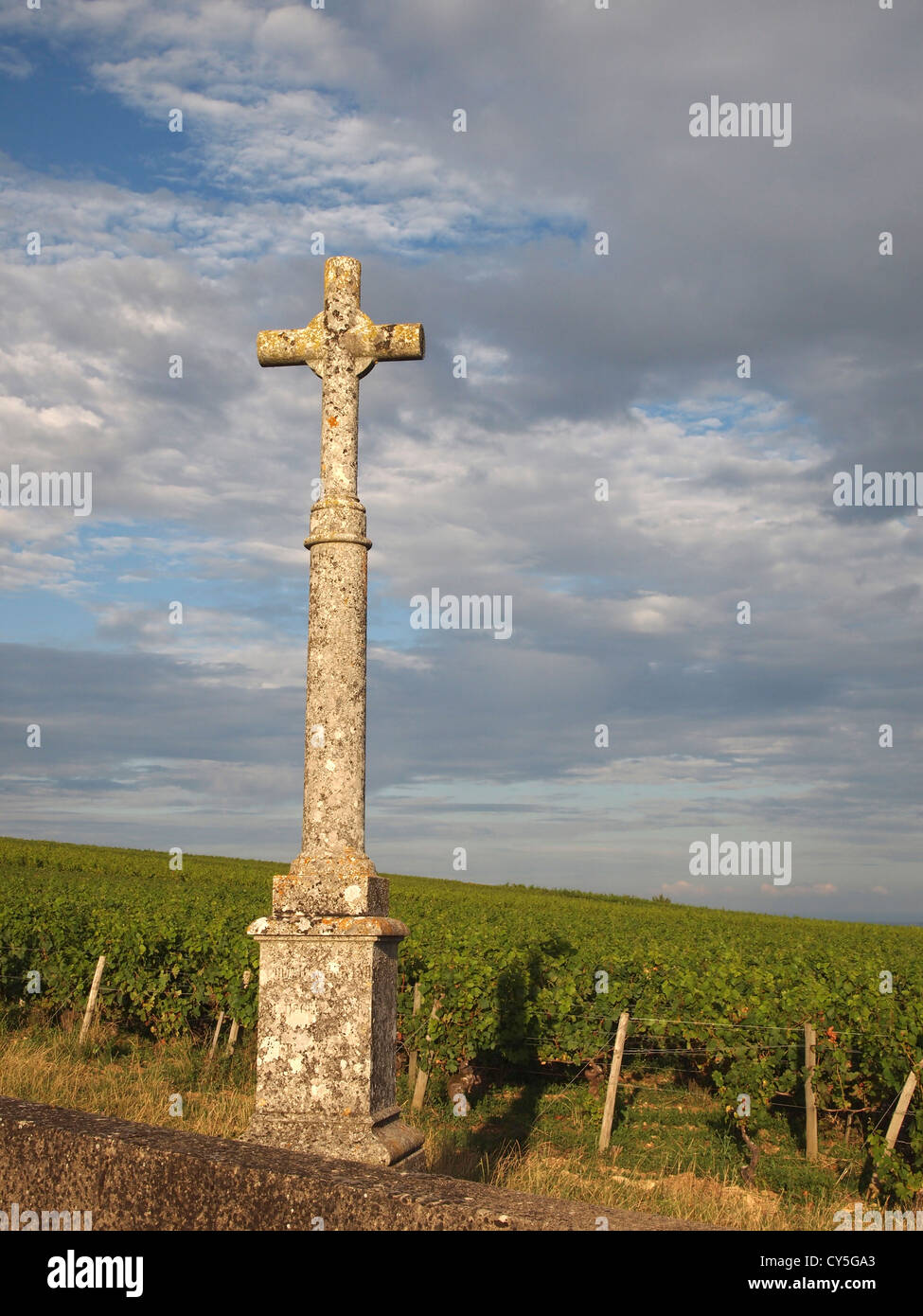 Croce e vigneto di Borgogna. Bourgogne, Franche Comte. Francia Foto Stock