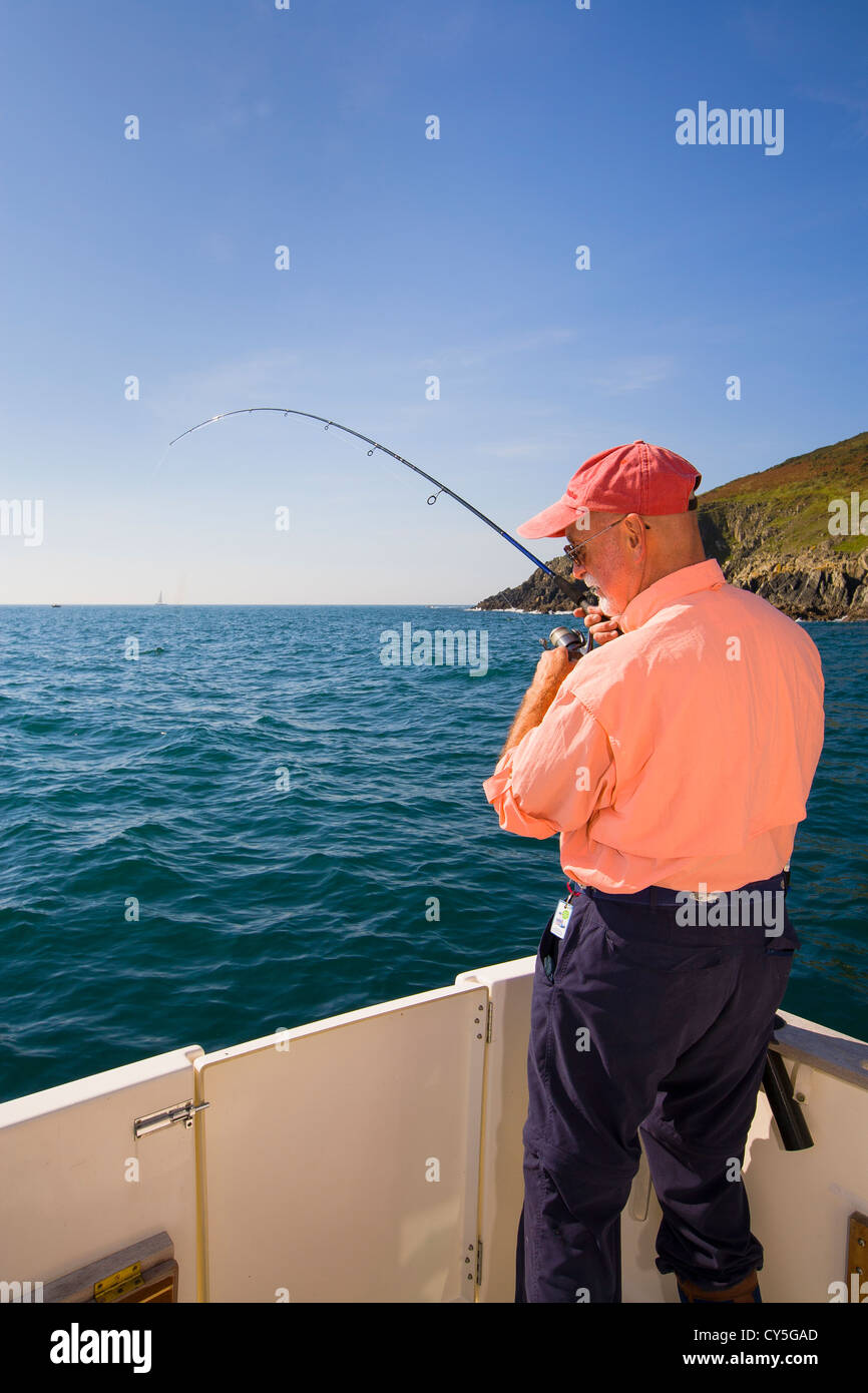 Il pescatore gioca Bass catturati da un tappo di plastica esca dalla barca da pesca una piccola baia sulla costa della Cornovaglia. Foto Stock