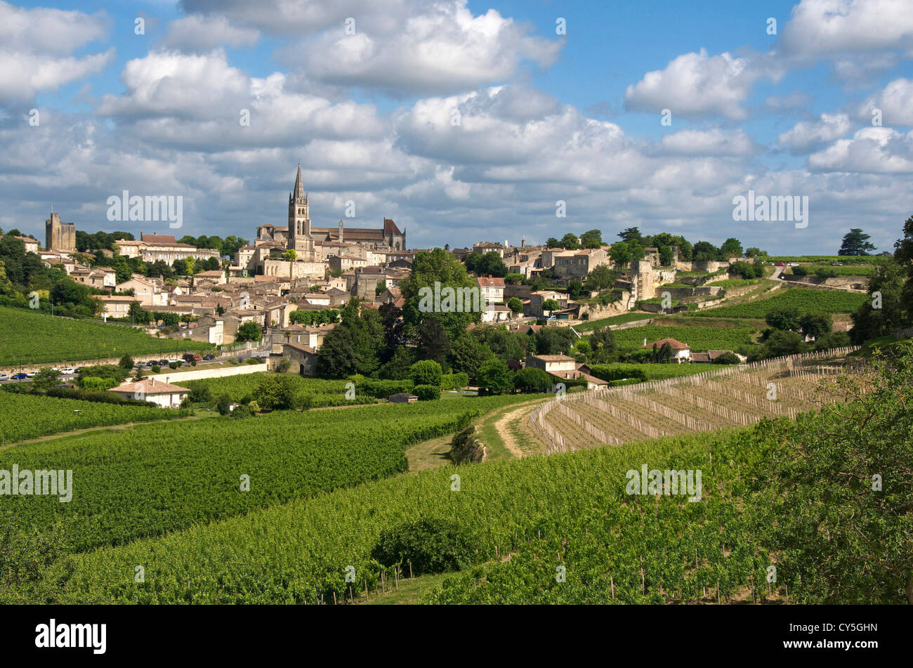 Villaggio e vigna di Saint Emilion, Gironde, Francia, Europa Foto Stock