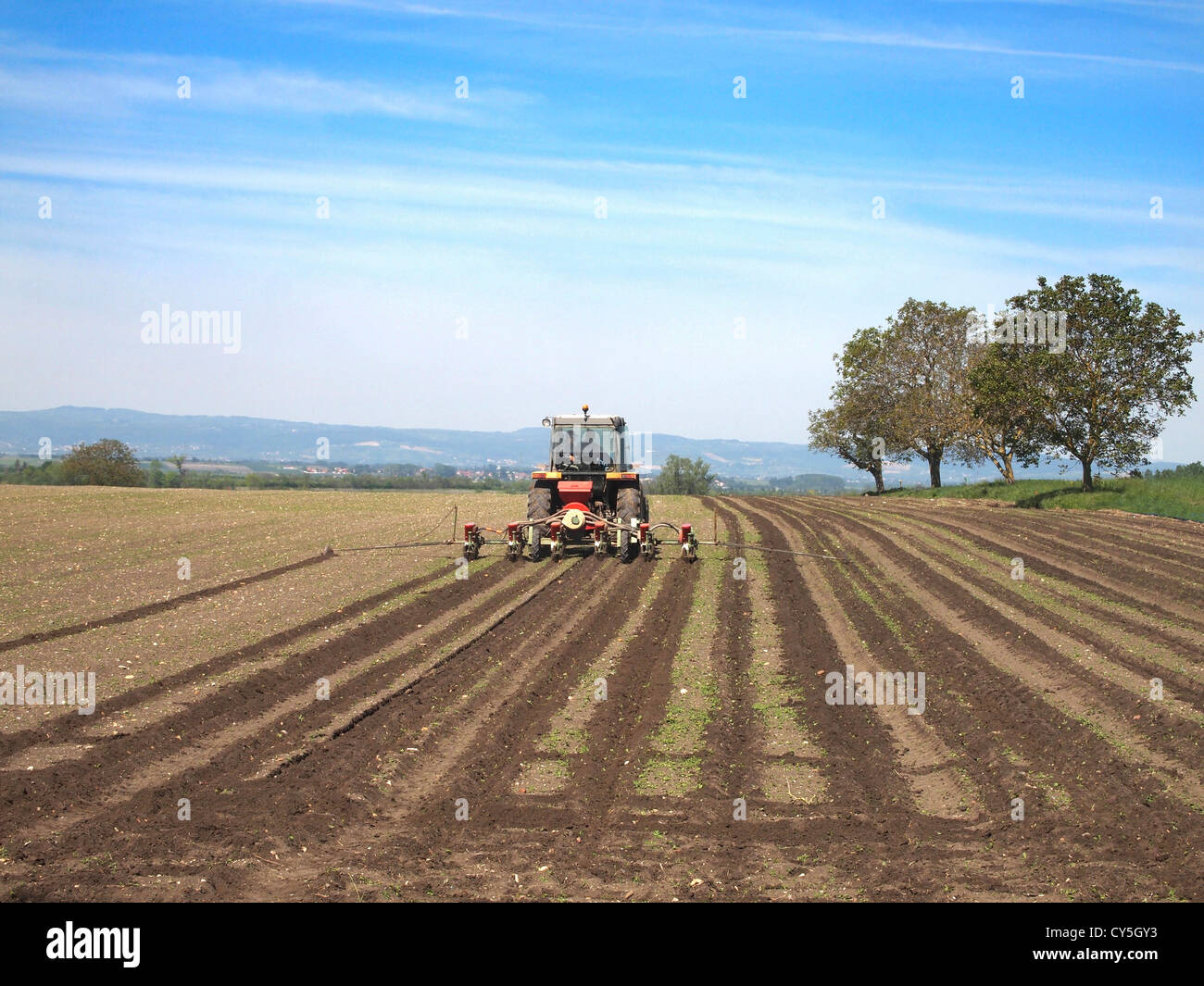 Il trattore arare un campo nella pianura Limagne, vicino Maringues, Auvergne, in Francia, in Europa in primavera Foto Stock