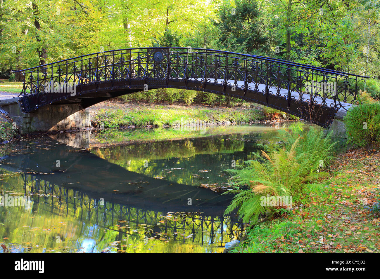 Acqua tranquilla e i colori autunnali Wroclaw Parco Szczytnicki Bassa Slesia Polonia Foto Stock