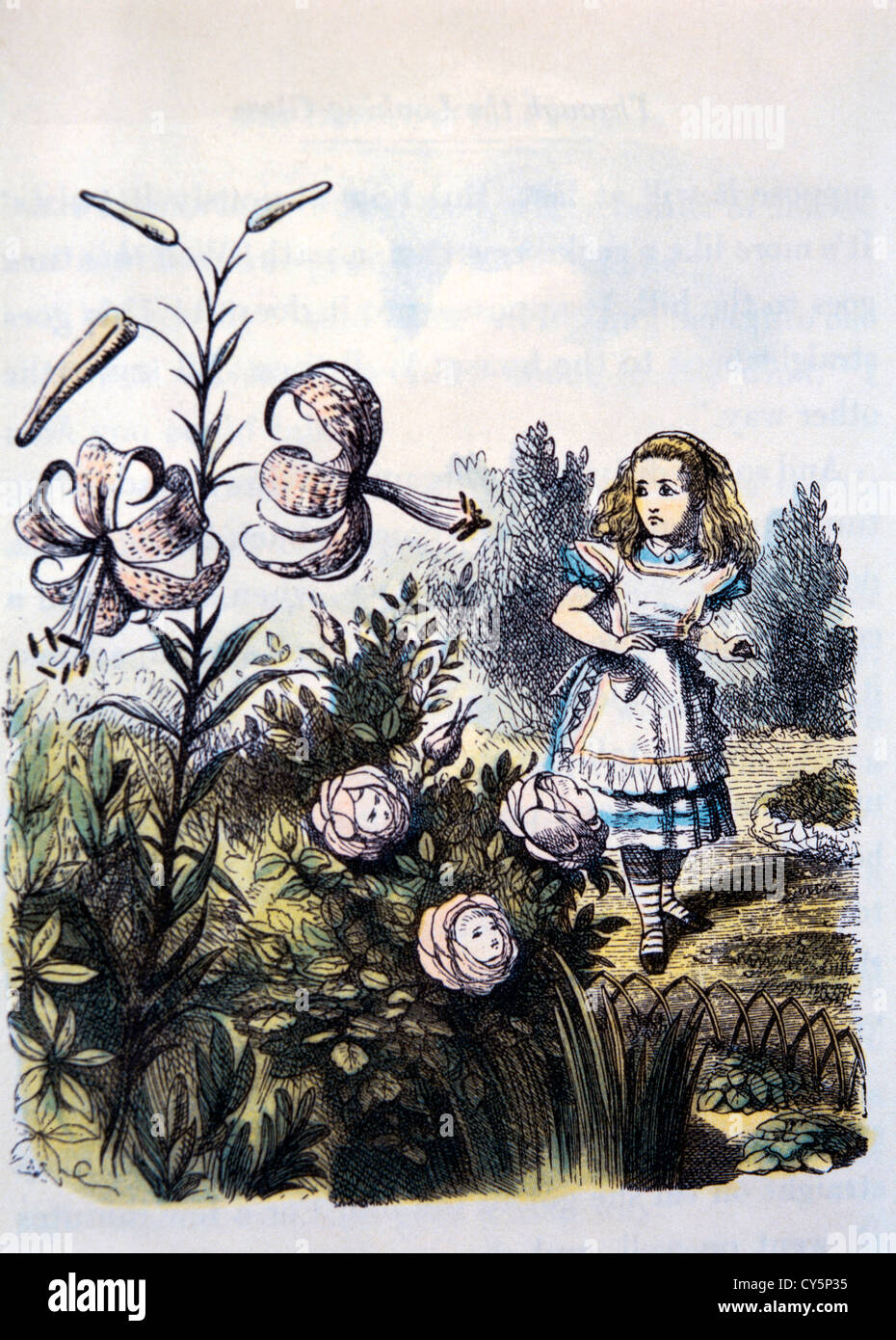 Il giardino di fiori dal vivo, attraverso il Looking Glass da Lewis Carroll, Hand-Colored illustrazione, circa 1872 Foto Stock