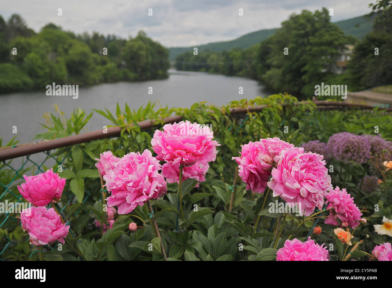 Ponte di fiori, Shelburne Falls, Massachusetts, Stati Uniti Foto Stock